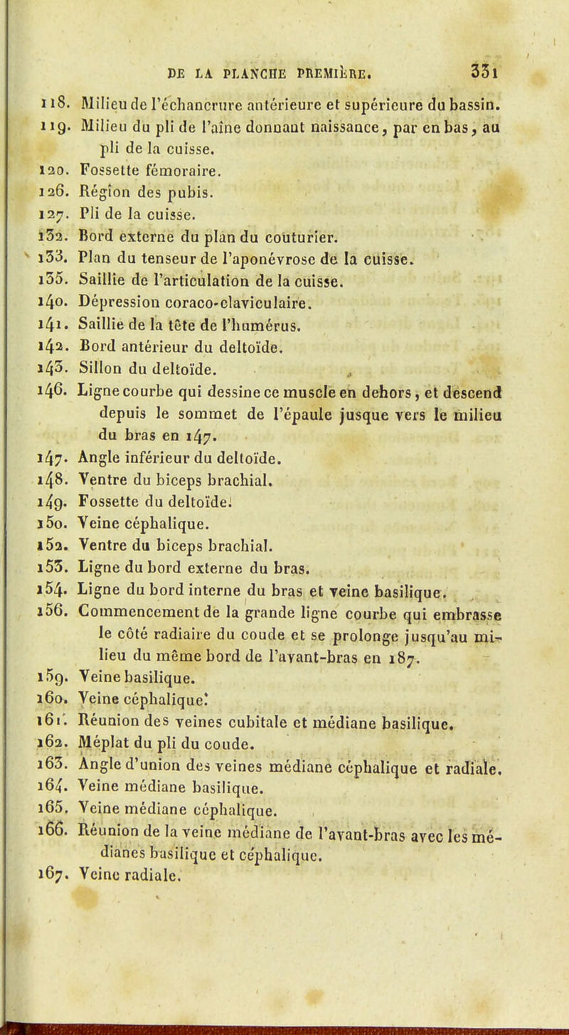 118. Milieu de l'échancrure antérieure et supérieure du bassin. 119. Milieu du pli de l'aîne donnaut naissance, par en bas, au pli de la cuisse. 120. Fossette fémoraire, 126. Région des pubis. 127. Pli de la cuisse. i32. Bord externe du plan du couturier. ï33. Plan du tenseur de l'aponévrose de la cuisse. i35. Saillie de l'articulation de la cuisse. 140. Dépression coraco-claviculaire. 141. Saillie de la tête de rbumérus. 142. Bord antérieur du deltoïde. i43- Sillon du deltoïde. 146. Ligne courbe qui dessine ce muscle en dehors, et descend depuis le sommet de l'épaule jusque vers le milieu du bras en 147. 147. Angle inférieur du deltoïde. 148. Ventre du biceps brachial. 149. Fossette du deltoïdei 150. Veine céphalique. iSa. Ventre du biceps brachial. 153. Ligne du bord externe du bras. 154. Ligne du bord interne du bras et veine basilique. i56. Commencement de la grande ligne courbe qui embrasse le côté radiaire du coude et se prolonge jusqu'au mi- lieu du même bord de l'avant-bras en 187. 1.59. Veine basilique. 160. Veine céphalique! 161'. Réunion des yeines cubitale et médiane basilique, 162. Méplat du pli du coude. 163. Angle d'union des veines médiane céphalique et radiaïe, 164. Veine médiane basilique. 165. Veine médiane céphalique. 166. Réunion de la veine médiane de l'avant-bras avec les mé- dianes basilique et céphalique. 167. Veine radiale.