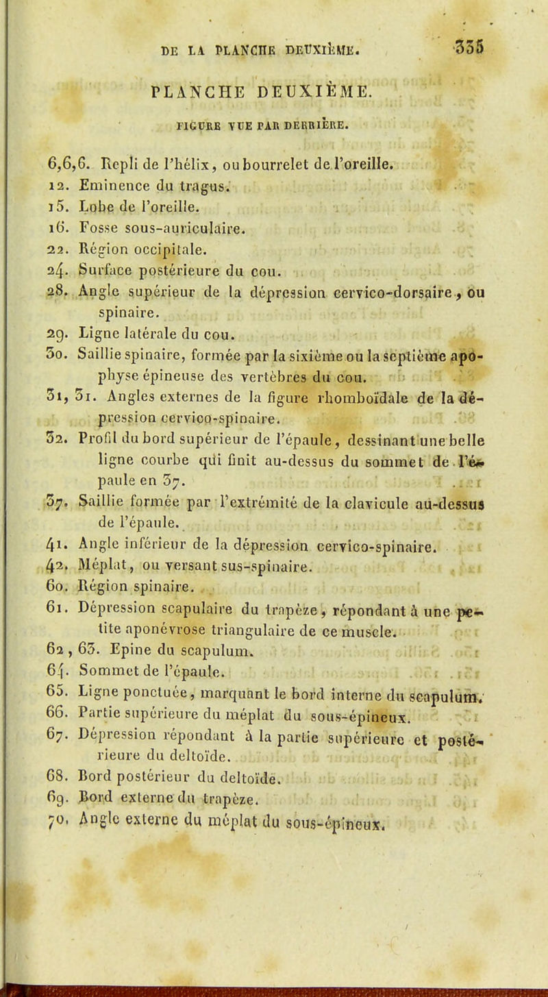 PLANCHE DEUXIÈME. rièURE YTIE PA» DERRIÈRE. 6,6,6. Repli de l'hélix, ou bourrelet de l'oreille. 12. Eminence du tragus. 15. Lqhe de l'oreille. 16. Fosse sous-auriculaire. 22. Région occipitale. 24. Surface postérieure du cou. 28. Angle supérieur de la dépression cervico-dorsaire, ou spinaire. 2g. Ligne latérale du cou. 50. Saillie spinaire, formée par la sixième ou la septième i^pé- physe épineuse des vertèbres du cou. ■ ■ 51. Si. Angles externes de la figure rhomboïdàle de la âé- pression cerviçQ-spinaire. '■8 52. Profil du bord supérieur de l'épaule, dessinant une belle ligne courbe qdi finit au-dessus du sommet de Té* paule en 57. ,. : 57, Saillie formée par l'extrémité de la clavicule au-dessuS de l'épaule. 41. Angle inférieur de la dépression cervico-spinaire. 42. Méplat, ou versant sus-spinaire. 60. Région spinaire, 61. Dépression scapulaire du trapèze, répondant à une pe-^ tite aponévrose triangulaire de ce muscle. v r 62 , 63. Epine du scapulum. G-f. Sommet de l'épaule. , .;.:> 65. Ligne ponctuée, marquant le bord interne du scapulùi»; 66. Partie supérieure du méplat du sous-épineux. 67. Dépression répondant à la partie supérieure et poslo^ rieure du deltoïde. > f 68. Bord postérieur du deltoïde. 69. JBorid externe du trapèze. ;o. Angle externe du méplat du sous-épineux.