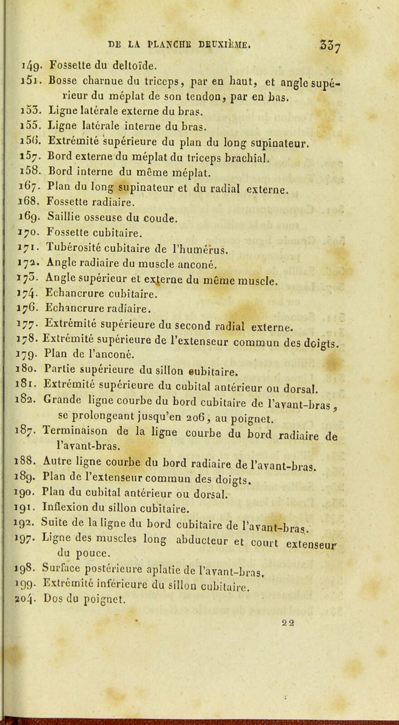 i49- Fossette du deltoïde. i5i. Bosse charnue du triceps, par en haut, et angle supé- rieur du méplat de son tendon, par en Las. i53. Ligne latérale externe du bras. i55. Ligne latérale interne du bras. i5(). Extrémité supérieure du plan du long supinateur. 157. Bord externe du méplat du triceps brachial. ï58. Bord interne du même méplat. 367. Plan du long supinateur et du radial externe. 168. Fossette radiaire. 169. Saillie osseuse du coude. 170. Fossette cubitaire. 171. Tubérosité cubitaire de l'humérus. 172. Angle radiaire du muscle anconé. 175. Angle supérieur et ex|erne du même muscle. J74. Echancrure cubitaire. 176. Echancrure radiaire. 177. Extrémité supérieure du second radial externe. 178. Extrémité supérieure de l'extenseur commun des doigts, 179. Plan de l'anconé. 180. Partie supérieure du sillon eubitaire. 181. Extrémité supérieure du cubital antérieur ou dorsal, 182. Grande ligne courbe du bord cubitaire de l'avant-bras se prolongeant jusqu'en 206, au poignet. 187. Terminaison de la ligne courbe du bord radiaire de l'avant-bras. 188. Autre ligne courbe du bord radiaire de l'ayant-bras. 189. Plan de l'extenseur commun des doigts. 190. Plan du cubital antérieur ou dorsal. 191. Inflexion du sillon cubitaire. 192. Suite de la ligne du bord cubitaire de Tavant-bra^. 197. Ligne des muscles long abducteur et court extenseur du pouce. J98. Surface postérieure aplatie de l'ayant-bras. 199. Extrémité inférieure du sillon cubitaire. Ï04. Dos du poignet. 22
