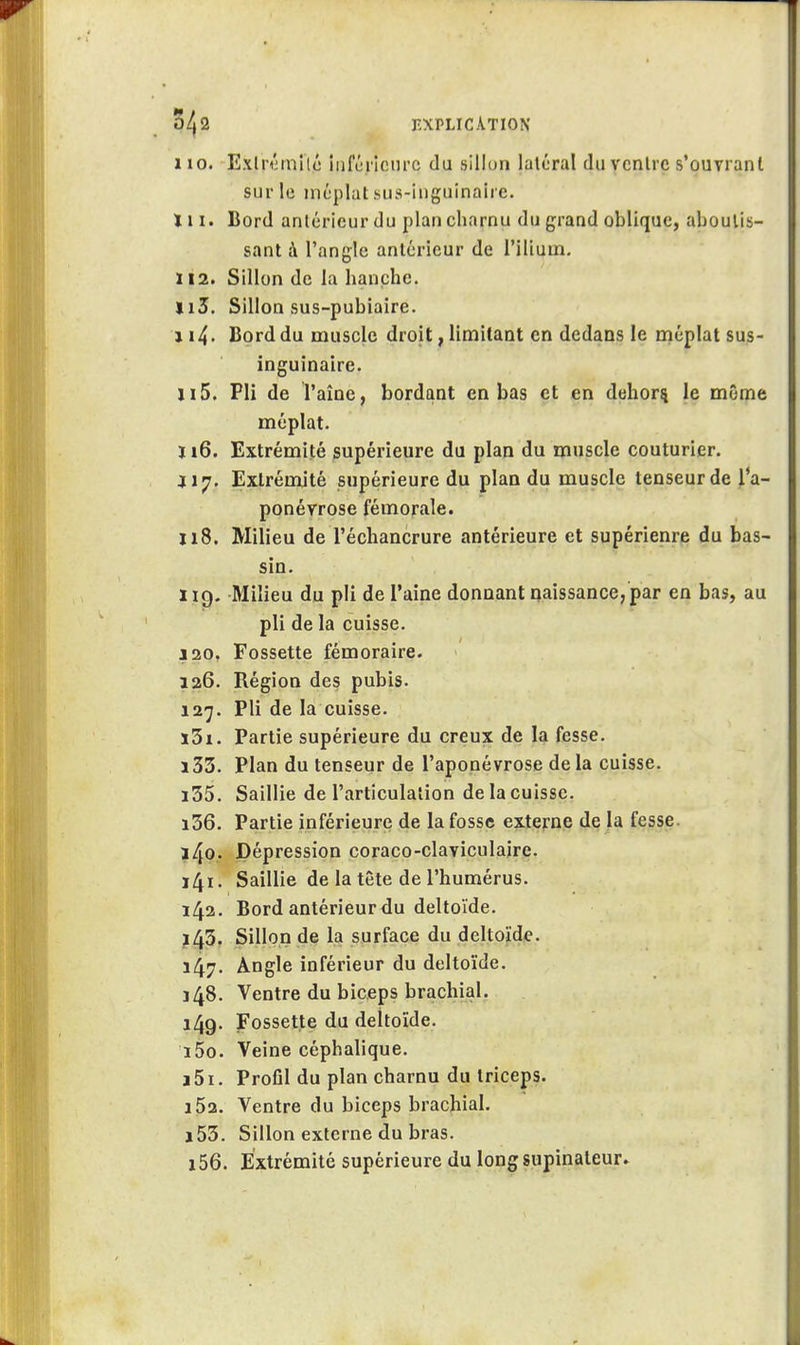 110. Exln'miié lufcriciirc du sillon latéral du vcnlre s'ouvrant sur le méplat sus-iuguinaire. ï 11. Bord antérieur du plan charnu du grand oblique, aboutis- sant à l'angle antérieur de l'ilium. lia. Sillon de la hanche. Ji5. Sillon sus-pubiaire. 114. Bord du muscle droit, limitant en dedans le rnéplat sus- inguinaire. ïx5. Pli de l'aîne, bordant en bas et en dehorç le môme méplat. j 16. Extrémité supérieure du plan du muscle couturier. Extrémité supérieure du plan du muscle tenseur de l'a- ponévrose fémorale. 118. Milieu de l'échancrure antérieure et supérieure du bas- sin. Ï19. Milieu du pli de l'aine donnant naissance, par en bas, au pli de la cuisse. J20. Fossette fémoraire. 126. Région des pubis. 127. Pli de la cuisse. ï3i. Partie supérieure du creux de la fesse. i33. Plan du tenseur de l'aponévrose delà cuisse. 135. Saillie de l'articulation de la cuisse. 136. Partie inférieure de la fosse externe de la fesse. a4o.. Dépression coraco-claviculaire. ï4i. Saillie de la tête de l'humérus. 142. Bord antérieur du deltoïde. 145, Sillon de la surface du deltoïde. 147. Angle inférieur du deltoïde. j48. Ventre du biceps brachial. 149. jFossette du deltoïde. 150. Veine céphalique. j5i. Profil du plan charnu du triceps. i53. Ventre du biceps brachial. j53. Sillon externe du bras. i56. Extrémité supérieure du longsupinaleur.