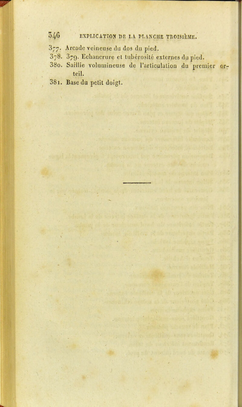 o4C EXPLICATION DP. ÏA PI.iNCIIE TROISIEME. 377. Arcade veineuse du dos du pied. 378. 379. Echancrure el lubérosité exlcrnes du pied. 380. Saillie volumineuse de rarliculalion du premier or- teil.