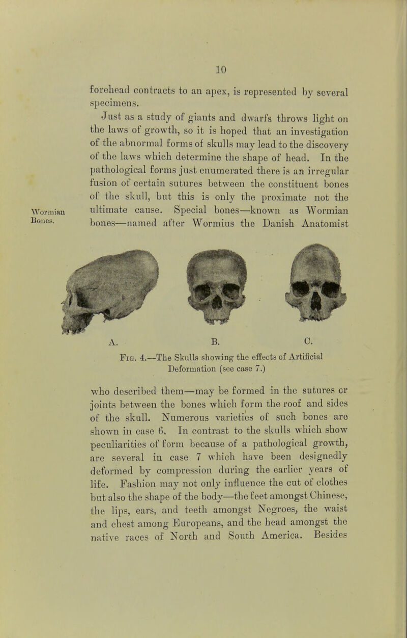 forehead contracts to an apex, is represented by several specimens. Just as a study of giants and dwarfs throws light on the laws of growth, so it is hoped that an investigation of the abnormal forms of skulls may lead to the discovery of the laws which determine the shape of head. In the pathological forms just enumerated there is an irregular fusion of certain sutures between the constituent bones of the skull, but this is only the proximate not the Wormian ultimate cause. Special bones—known as Wormian Bones. bones—named after Wormius the Danish Anatomist A. B. C. Fig. 4.—The Skulls showing the effects of Artificial Deformation (see case 7.) who described them—may be formed in the sutures or joints between the bones which form the roof and sides of the skull. Numerous varieties of such bones are shown in case 6. In contrast to the skulls which show peculiarities of form because of a pathological growth, are several in case 7 which have been designedly deformed by compression during the earlier years of life. Fashion may not only influence the cut of clothes but also the shape of the body—the feet amongst Chinese, the lips, ears, and teeth amongst Negroes, the waist and chest among Europeans, and the head amongst the native races of North and South America. Besides