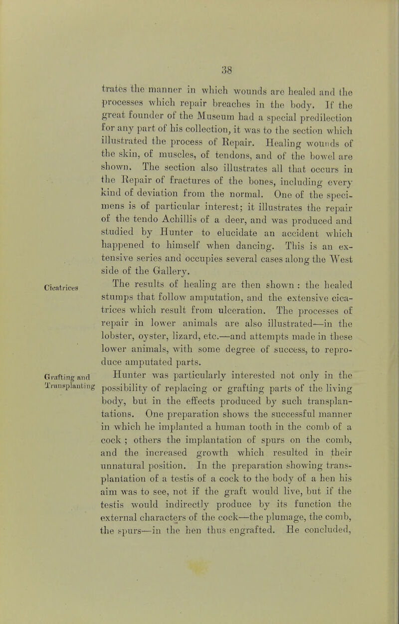 trates the manner in which wounds arc healed and the processes winch repair breaches in the body. If the great founder of the Museum had a special predilection Eor any part of his collection, it was to the section which illustrated the process of Repair. Healing wounds of the skin, of muscles, of tendons, and of the bowel are shown. The section also illustrates all that occurs in the Repair of fractures of the bones, including every kind of deviation from the normal. One of the speci- mens is of particular interest; it illustrates the repair of the tendo Achillis of a deer, and was produced and studied by Hunter to elucidate an accident which happened to himself when dancing. This is an ex- tensive series and occupies several cases along the West side of the Gallery. Cicatrices ^e resulfcs of healing are then shown : the healed stumps that follow amputation, and the extensive cica- trices which result from ulceration. The processes of repair in lower animals are also illustrated—in the lobster, oyster, lizard, etc.—and attempts made in these lower animals, with some degree of success, to repro- duce amputated parts. Grafting and Hunter was particularly interested not only in the Transplanting possibility of replacing or grafting parts of the living body, but in the effects produced by such transplan- tations. One preparation shows the successful manner in which he implanted a human tooth in the comb of a cock ; others the implantation of spurs on the comb, and the increased growth which resulted in their unnatural position. In the preparation showing trans- plantation of a testis of a cock to the body of a hen his aim was to see, not if the graft would live, but if the testis would indirectly produce by its function the external characters of the cock—the plumage, the comb, the spurs—in the hen thus engrafted. He concluded,