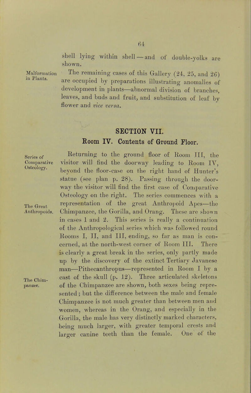 shell lying within shell —and of double-yolks are si 1 own. Malformation The remaining cases of this Gallery (24, 25, and 26) m Plants. are occupie(j \)y preparations illustrating anomalies of development in plants—abnormal division of branches, leaves, and buds and fruit, and substitution of leaf by flower and vice versa. Series of Comparative Osteology. The Great Anthropoids. The Chim- panzee. SECTION VII. Room IV. Contents of Ground Floor. Returning to the ground floor of Room III, the visitor will find the doorway leading to Room IV, beyond the floor-case on the right hand of Hunter's statue (see plan p. 28). Passing through the door- way the visitor will find the first case of Comparative Osteology on the right. The series commences with a representation of the great Anthropoid Apes—the Chimpanzee, the Gorilla, and Orang. These are shown in cases 1 and 2. This series is really a continuation of the Anthropological series which was followed round Rooms I, II, and III, ending, so far as man is con- cerned, at the north-west corner of Room III. There is clearly a great break in the series, only partly made up by the discovery of the extinct Tertiary Javanese man—Pithecanthropus—represented in Room I by a cast of the skull (p. 12). Three articulated skeletons of the Chimpanzee are shown, both sexes being repre- sented ; but the difference between the male and female Chimpanzee is not much greater than between men and women, whereas in the Orang, and especially in the Gorilla, the male has very distinctly marked characters, being much larger, with greater temporal crests and larger canine teeth than the female. One of the