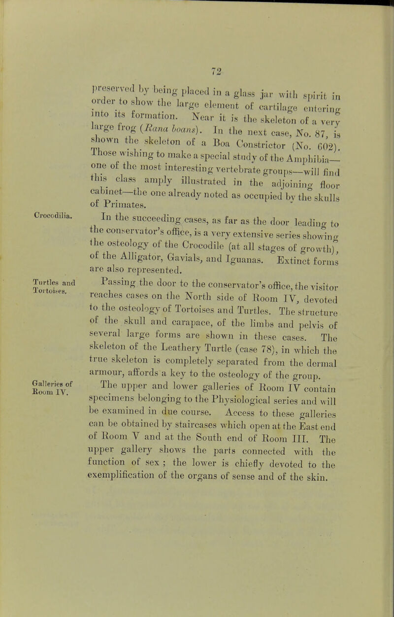Crocodilia. |. -n,d l,v being placed in a gla88 Jar with irft [q o der to show he large element of cartilage entering nto its formation. Near it is the skeleton of a very large frog (Eana loans). In the next case, No. 87 is shown the skeleton of a Boa Constrictor (No. 002)'. Ihose wishing to make a special study of the Amphibia- one of the most interesting vertebrate groups-will find this class amply illustrated in the adjoining floor cabinet—the one already noted as occupied bv the skulls ot Primates. In the succeeding cases, as far as the door leading to the conservator's office, is a very extensive series showing the osteology of the Crocodile (at all stages of growth of the Alligator, Gavials, and Iguanas. Extinct forms are also represented. Turtles and Passing the door to the conservator's office, the visitor reaches cases on the North side of Room IV, devoted to the osteology of Tortoises and Turtles. The structure of the skull and carapace, of the limbs and pelvis of several large forms are shown in these cases. The skeleton of the Leathery Turtle (case 78), in which the true skeleton is completely separated from the dermal armour, affords a key to the osteology of the group. Eoom IV* Pper and l0Wer 8'a]leries o£ Room IV contain specimens belonging to the Physiological series and will be examined in due course. Access to these galleries can be obtained by staircases which open at the East end of Room V and at the South end of Room III. The upper gallery shows the parts connected with the function of sex ; the lower is chiefly devoted to the exemplification of the organs of sense and of the skin.