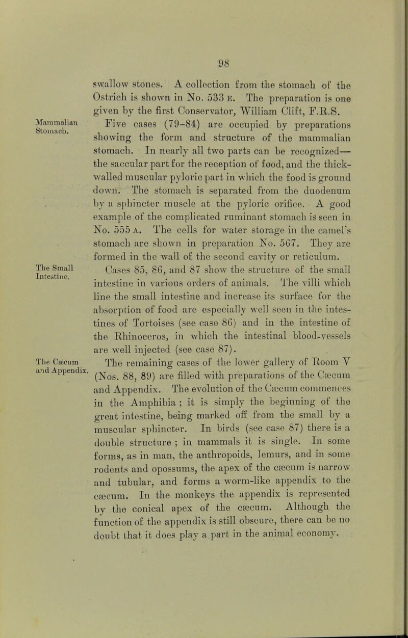 Mammalian Stomach. The Small Intestine. The Cascum and Appendix. shallow stones. A collection from the stomach of the Ostrich is shown in No. 533 e. The preparation is one given by the first Conservator, William Clift, F.R.S. Five cases (79-84) are occupied by preparations showing the form and structure of the mammalian stomach. In nearly all two parts can be recognized— the saccular part for the reception of food, and the thick- walled muscular pyloric part in which the food is ground down. The stomach is separated from the duodenum by a sphincter muscle at the pyloric orifice. A good example of the complicated ruminant stomach is seen in No. 555 a. The cells for water storage in the camel's stomach are shown in preparation No. 567. They are formed in the wall of the second cavity or reticulum. Cases 85, 86, and 87 show the structure of the small intestine in various orders of animals. The villi which line the small intestine and increase its surface for the absorption of food are especially well seen in the intes- tines of Tortoises (see case 86) and in the intestine of the Rhinoceros, in which the intestinal blood-vessels are well injected (see case 87). The remaining cases of the lower gallery of Room V (Nos. 88, 89) are filled with preparations of the Csecuin and Appendix. The evolution of the Caecum commences in the Amphibia ; it is simply the beginning of the great intestine, being marked off from the small by a muscular sphincter. In birds (see case 87) there is a double structure ; in mammals it is single. In some forms, as in man, the anthropoids, lemurs, and in some rodents and opossums, the apex of the csecum is narrow and tubular, and forms a worm-like appendix to the csecum. In the monkeys the appendix is represented by the conical apex of the csecum. Although the function of the appendix is still obscure, there can be no doubt that it does play a part in the animal economy.