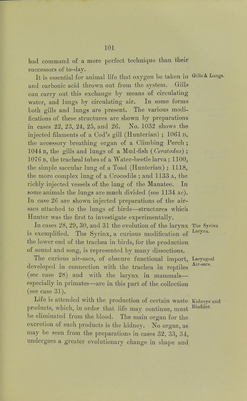 had command of a more perfect technique than their successors of to-day. It is essential for animal life that oxygen be taken in Gills & Lungs, and carbonic acid thrown out from the system. Gills can carry out this exchange by means of circulating water, and lungs by circulating air. In some forms both gills and lungs are present. The various modi- fications of these structures are shown by preparations in cases 22, 23, 24, 25, and 26. No. 1032 shows the injected filaments of a Cod's gill (flunterian) ; 1061D, the accessory breathing organ of a Climbing Perch ; 1044b, the gills and lungs of a Mud-fish (Ceratodus) ; 1076 b, the tracheal tubes of a Water-beetle larva; 1100, the simple saccular lung of a Toad (Hunterian) ; 1118, the more complex lung of a Crocodile ; and 1133 a, the ricbly injected vessels of the lung of the Manatee. In some animals the lungs are much divided (see 1134 Ac). In case 26 are shown injected preparations of the air- sacs attached to the lungs of birds—structures which Hunter was the first to investigate experimentally. In cases 28, 29, 30, and 31 the evolution of the larynx The Syrinx is exemplified. The Syrinx, a curious modification of Larynx- the lower end of the trachea in birds, for the production of sound and song, is represented by many dissections. The curious air-sacs, of obscure functional import, Laryngeal developed in connection with the trachea in reptiles Au'8aC8, (see case 28) and with the larynx in mammals— especially in primates—are in this part of the collection (see case 31). Life is attended with the production of certain waste Kidneys and products, which, in order that life may continue, must Bladder- be eliminated from the blood. The main organ for the excretion of such products is the kidney. No organ, as may be seen from the preparations in cases 32, 33, 34, undergoes a greater evolutionary change in shape and