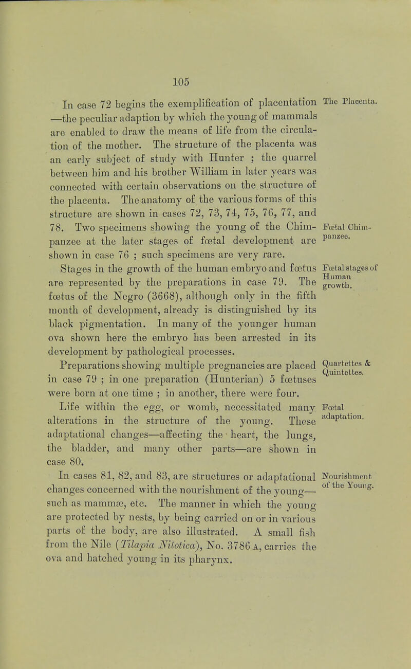 In case 72 begins the exemplification of placentation The Placenta. —the peculiar adaption by which the young of mammals are enabled to draw the means of life from the circula- tion of the mother. The structure of the placenta was an early subject of study with Hunter ; the quarrel between him and his brother William in later years was connected with certain observations on the structure of the placenta. The anatomy of the various forms of this structure are shown in cases 72, 73, 74, 75, 76, 77, and 78. Two specimens showing the young of the Chim- Fcetal Chim- panzee at the later stages of foetal development are Panzee- shown in case 76 ; such specimens are very rare. Stages in the growth of the human embryo and foetus Fcetal stages of are represented by the preparations in case 79. The growth, foetus of the Negro (3668), although only in the fifth month of development, already is distinguished by its black pigmentation. In many of the younger human ova shown here the embryo has been arrested in its development by pathological processes. Preparations showing multiple pregnancies are placed qU®1 j:e^es & in case 79 ; in one preparation (Hunterian) 5 foetuses were born at one time ; in another, there were four. Life within the egg, or womb, necessitated many Foetal alterations in the structure of the young. These adaPtation- adaptational changes—affecting the - heart, the lungs, the bladder, and many other parts—are shown in case 80. In cases 81, 82, and 83, are structures or adaptational Nourishment changes concerned with the nourishment of the young— ° 6 °Ug* such as mammae, etc. The manner in which the youne are protected by nests, by being carried on or in various parts of the body, are also illustrated. A small fish from the Nile (Tilapia Mlotica), No. 3786 A, carries the ova and hatched young in its pharynx.