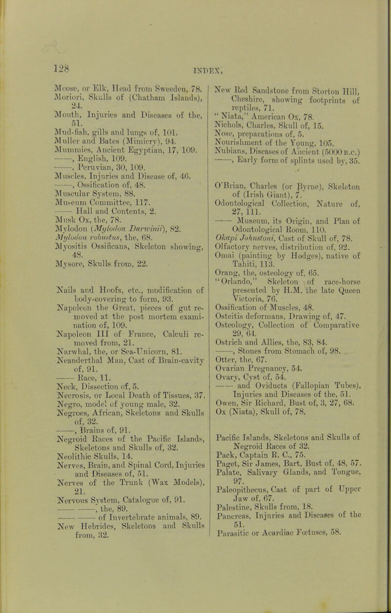 Moose, or Elk, Head From Sweeden, 78. Moriori, Skulls of (Chatham Islands), 24. Mouth, Injuries and Diseases of the, 51. Mud-fish, gills and lungs of, 101. Muller and Bates (Mimicry), 94. Mummies, Ancient Egyptian, 17, 109. , English, 109. , Peruvian, 30, 109. Muscles, Injuries and Disease of, 46. , Ossification of, 48. Muscular System, 88. Museum Committee, 117. Hall and Contents, 2. Music Ox, the, 78. Mylodon {Mylodon Darvrinii), 82. Mylodon robustus, the, 68. Myositis Ossificans, Skeleton showing, 48. Mysore, Skulls from, 22. Nails and Hoofs, etc., modification of body-covering to form, 93. Napoleon the Great, pieces of gut re- moved at the post mortem exami- nation of, 109. Napoleon III of Fiance, Calculi re- moved from, 21. Narwhal, the, or Sea-Unicorn, 81. Neanderthal Man, Cast of Brain-cavity of, 91. Race, 11. Neck, Dissection of, 5. Necrosis, or Local Death of Tissues, 37. Negro, model of young male, 3'2. Negroes, African, Skeletons and Skulls of, 32. , Brains of, 91. Negroid Races of the Pacific Islands, Skeletons and Skulls of, 32. Neolithic Skulls, 14. _ Nerves, Brain, and Spinal Cord, Injuries and Diseases of, 51. Nerves of the Trunk (Wax Models), 21. Nervous Svstem, Catalogue of, 91. , the, 89. of Invertebrate animals, 89. New Hebrides, Skeletons and Skulls from, 32. New Red Sandstone from Storton Hill, Cheshire, showing footprints of repf lies, 71.  Niata, American Ox, 78. Nichols, Charles, Skull of, 15. Nose, preparations of, 5. Nourishment of the Young, 105. Nubians, Diseases of Ancient (5000 B.C.) , Early form of splints used by, 35. O'Brian, Charles (or Byrne), Skeleton of (Irish Giant), 7. Odontological Collection, Nature of, 27, 111. Museum, its Origin, and Plan of Odontological Room, 110. Okapi Johnstoni, Cast of Skull of, 78. Olfactory nerves, distribution of, 92. Omai (painting by Hodges), native of Tahiti, 113. Orang, the, osteology of, 65. Orlando, Skeleton of race-horse presented by H.M. the late Queen Victoria, 76. Ossification of Muscles, 48. Osteitis deformans, Drawing of, 47. Osteology, Collection of Comparative 29, 64. Ostrich and Allies, the, 83, 84. , Stones from Stomach of, 98. Otter, the, 67. Ovarian Pregnancy, 54. Ovary, Cyst of, 54. — — and Oviducts (Fallopian Tubes). Injuries and Diseases of the. 51. Owen, Sir Richard, Bust of, 3, 27, 68. Ox (Niata), Skull of, 78. Pacific Islands, Skeletons and Skulls of Negroid Races of 32. Pack, Captain R. C, 75. Paget, Sir James, Bart. Bust of, 48, 57. Palate, Salivary Glands, and Tongue, 97. Paleopithecus, Cast of part of Upper Jaw of, 67. Palestine, Skulls from, 18. Pancreas, Injuries and Diseases of the 51. Parasitic or Acardiac Fcetuses, 58.