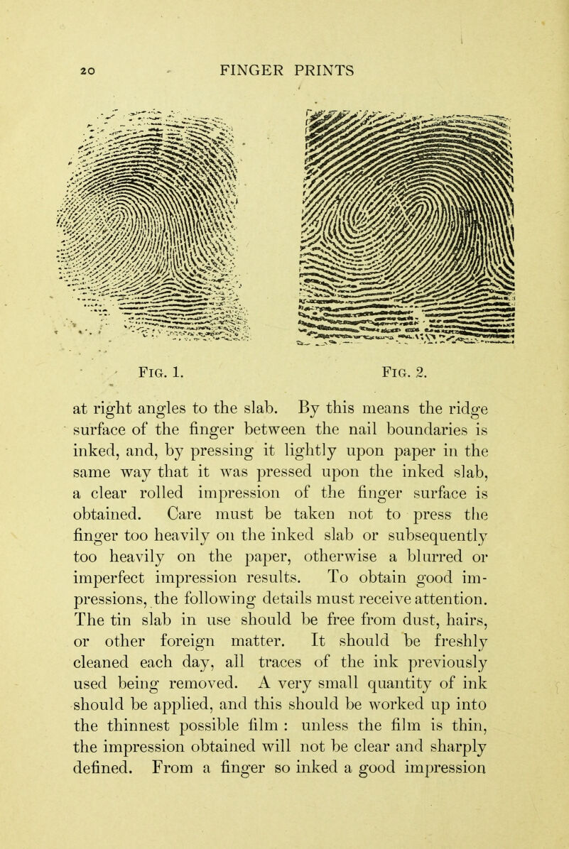 ' Fig. 1. Fig. 2. at right angles to the slab. By this means the ridge surface of the finger between the nail boundaries is inked, and, by pressing it lightly upon paper in the same way that it was pressed upon the inked slab, a clear rolled impression of the finger surface is obtained. Care must be taken not to press the finger too heavily on the inked slab or subsequently too heavily on the paper, otherwise a blurred or imperfect impression results. To obtain good im- pressions, the following details must receive attention. The tin slab in use should be free from dust, hairs, or other foreign matter. It should be freshly cleaned each day, all traces of the ink previously used being removed. A very small quantity of ink should be applied, and this should be worked up into the thinnest possible film : unless the film is thin, the impression obtained will not be clear and sharply defined. From a finger so inked a good impression