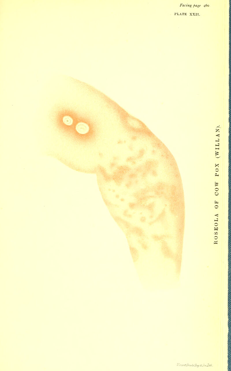 Facing page 460 PLATE xxn. O o &^ o ►J o o Pi