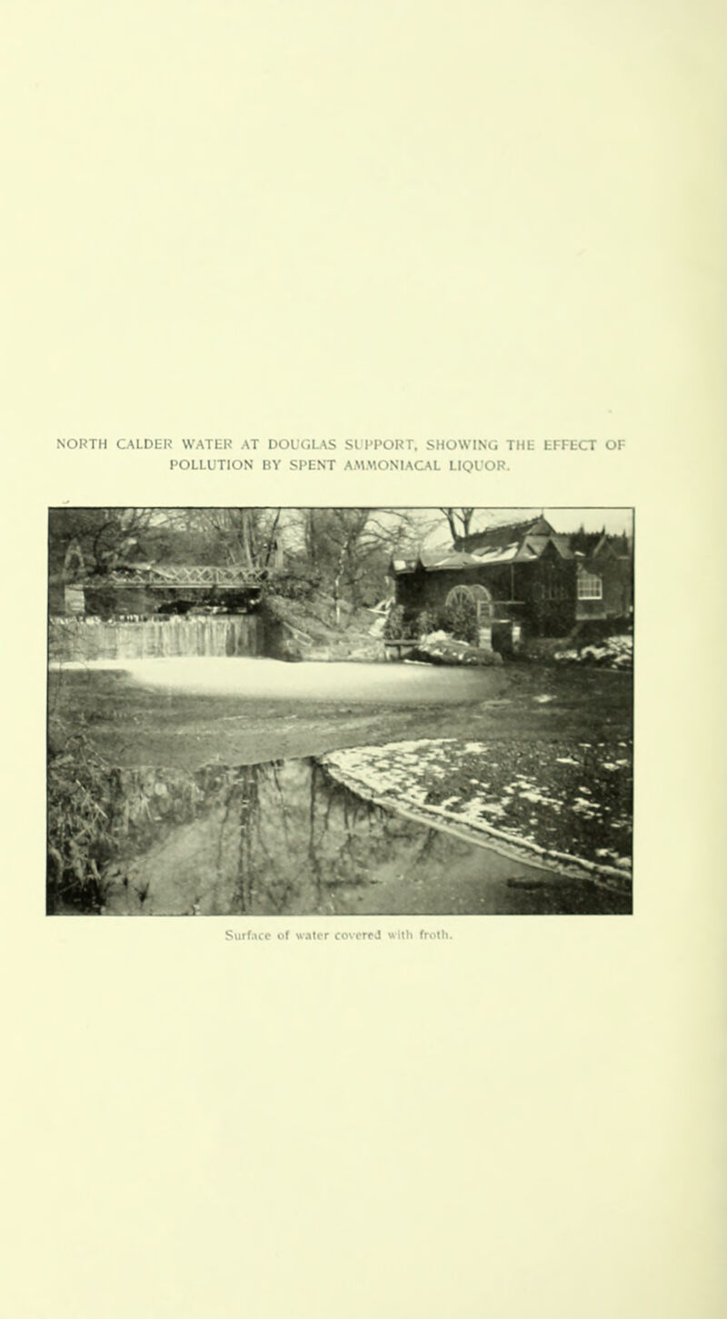 NOIJTH CALDER WATtK AT DOLGLAS SI PPORT, SHOWING THE EFFECT OF POLLUTION BY SPENT AM.MONIACAL HQLOR. buit.it.c I'l JUr cm lie J \wth froth.