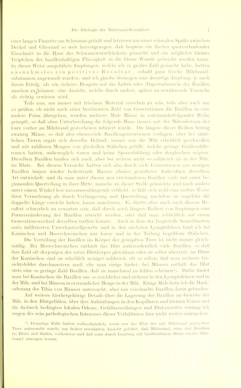 i'iner langen Tinzt-tte im Sclnvanzc gefaßt und letzterer aus einei- schmalen Spalte zwischen Deckel und Cdasrand so M'eit hervorgezogen, dali heqtiem ein flacher querverlaufender Kinschnitt in die Haut des Schwanzwurzelrückens gemacht und ein nuigliclist kleines Tröpfchen der bazillenhaltigen Flüssigkeit in die kleine \\'unde gebracht werden kann. Jn dieser Weise ausgeführte Impfungen, weicheich in großer Zahl gemacht habe, hatten a u s n a h m s 1 o s e i n p o s i t i v e s ]•{ e s u I t a 1 . sobald ganz frische JMilzbrand- substanzen angewandt wurden; und ich glaul)e deswegen eine derartige Jmj)fung. je nach ihrem Erfolg, als ein sicheres Reagens auf das !A'l)en oder Abgestorl)enscin der Bazillen ansehen zu^können: eine An.sicht, welche durch andere, später zu erwähnende \'ersuche als richtig erwiesen w 'ud. Teils nun, um innner mit frischem Mateiial versehen zu sein, teils abei' auch um zu prüfen, ob niclit nach einer bestimmten Zahl von (Jenerationen die Bazillen in eine andere Form übergehen, wurden mehrere Male Mäuse in aufi-inanderfolgendei' Pa ihe geimpft, .so daß ohne Unterbreclmng die folgende Maus immer mit der Milzsubstanz der kurz vorher an Milzbrand gestorbenen infiziert wurde. Die längste diesei Reihen betrug zwanzig Mäuse, so daß also ebensoviele Bazillengenerationcn vorlagen: aber lui sämt- lichen Tieren ergab sich derscllx' Befund: innncr wnr die Milz cihcblich gochw(illcii und mit zahllo.sen Mengen von glashellen Stäbchen gefüllt, welche geringe (;i'öi.lcndiffc- renzen hatten, ujdjeweglich waren und keine Sporcnbildung odci- dciglcichen zeigten. Dieselben Bazillen fanden sich auch, abei- bei weitem nicht >n zaliheicli als in der .Milz, im Blute. Bei diesem A'ersuehe hatten sich also durch \ iclc (icncrat ioiicii aus wenigen Bazillen immer wiedei- bedeutende Massen ebenso gestalteter Indixiduen der>elbcn Art entwickelt, und da man unter diesen neu entstandenen Bazillen viele mit einer be- ginnenden Querteilung in ihiei-.Mitte, manche an dicsci- Stelle geknickte und noc-h andere unter einem Winkel lose zusannneidiängeiide erblickt, so läßt .-ich wohl eine andere Weise ihrer Vermehrung als duri'h \'erlängerung und (^uerteilung. nachdem sie ungefähr die doppelte Länge erreicht haben, kaum annehmen. 1-1> dürfte aljci' auch nach diesem Be- sultat schwerlich zu erwarten sein, dal.i durch nodi längeie Picihen \ (in I iii|)fungeii eine Kormvei'änderung dei' Bazillen erreicht werden, oder dal.^ mau scliliel.'ilich auf einen Geneiationswechsel derselben treffen könnte. Auch in dem dei- Impfstelle benachbarten serös infiltrierten rnterhautzellgewebe und in den nächsten I>\ iu])hdrüscn fand ich bei Kaninchen und Meerschweinchen mir kuize und in di-r Teilung Ix'griffene Stäl)chen. JJie \'e]teilung der liazillen im Kcirpcr der geim])ften Tiere ist nicht immer gleich- mäßig. Bei Meerschweinchen enthielt das I>lu1 außerordentlich viele Jiazillen. so daß ihre Zahl oft derjenigen der roten Blutkr)r|)ei' gleichkam oder sie selbst übertiaf: im l)lute der Kaninchen sind sie erheblich weniger zahlieich. oft so seltoi. daß man mehrere Cle- sichtsfelder durchmustern muß. ehe man einige findet: bei JMäusen enthält das Blut stets eine so geringe Zahl Jiazillen. daß sie manchmal zu fehlen scheinen'). J)afür findet man bei Kaninchen die Bazillen um so reichlicher und sicheiei-in den Lym])hdrüsen und in der Milz, und bei Mäusen in erstaunlicher Menge in dei' Milz. Kinige Male habe ich die I\Iark- substanz der Tibia von Mäusen untersucht, aber mn- vei-einzelte J-5azillen darin gefunden. Auf weitere hierhergehörige Details über die Lagerung der Bazillen im (Jcwebe der Milz, in den Blutgefäßen, über ihre Anhäufungen in den Kaj)i]laren und kleinen Venen und die dadurch bedingten lokalen Ödeme, Gefäßzerreißungen und J^lutaustritte vermag ich wegen des rein pathologischen Interesses dieser \ erhältnisse hier nicht weiter einzugehen. M Derartige Fälle haben wahrscheinlich, wenn nur das Blut der mit Alil/Jirand geim[)lleu Tiere untersucht wurde, zur früher erwähnten Ansicht geführt, daß Milzbrand, ohne daß Bazillen im Blute sich finden, voikonnne und daß man durch Impfung mit bazillenfreiem Blute wieder ililz- V)rand erzeugen könne.