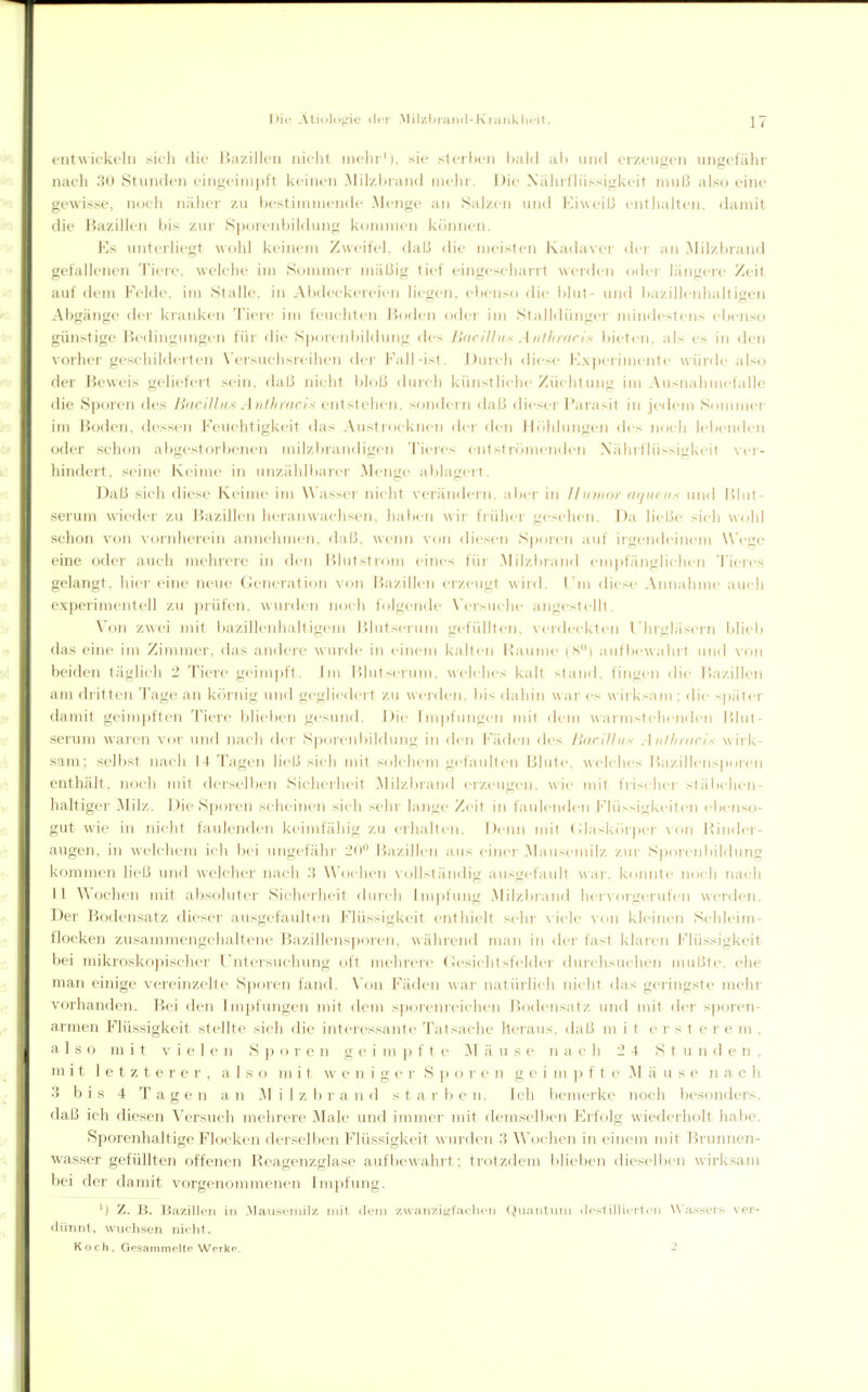 entwickeln sicli die IJazillcn nicht mein'), sie sterben bald ab und erzeugen ungefähr nach 30 Stunden eingeimpft keinen Milzbrand mehr. Die Nährflüssigkeit muß also eine gewisse, noch näher zu bestimmende Menge an Salzen und Eiweiß enthalten, damit die Bazillen bis zur Sporenbildung kommen können. Es unterliegt wohl keinem Zweifel, daß die meisten Kaduvei' der an Milzbrand gefallenen Tiere, welche im Sonnner mäßig tief eingescharrt werden oder längere Zeit auf dem Felde, im Stalle, in Abdeckeieien liegen. el)enso die blut- und l)azillenhaltigen Abgänge der kranken Tiere im feuchten Hoden oder im Slalldüngei- mindestens ebenso günstige Bedinginigen für die Sporenbildung des ]>nciUns Aiilliracis l)ieten. als es in den vorher gescliilderten Versuchsreihen der Fall-ist. ])uich diese Exjierimenle würde also der Beweis geliefert sein. dal.i nicht bloß duich künstliche Züchtung im Ausnahmefalle die Sjjoren des BaciUns Authracis entstehen, sondei n daß diesci- i'arasit in jedem Sonnner im Boden, dessen Feuchtigkeit das Austrocknen der den Hcihlungen des noch lebenden oder schon abgestorbenen milzbrandigen Tieres entstnimenden Xährflüssigkeit wr- hindert. seine Keime in unzählljarer Menye ablaeit. Daß sich diese Keime im Wasser nicht verändern, aber in Ihinior of/iif its und Blut- serum wieder zu ]iazillen hcianwachsen, haben wir frühei' gesehen. Da licLie sich wohl schon von vornherein annehmen, daß. ^\('nn von diesen Sporen auf irgendeinen) Wege eine oder auch mehrere in den J^lutstrom eines für Milzbrand em|)fänglichen Tieres gelangt, hier eine neue Generation von Bazillen erzeugt wird. Tin diese Ainialimc auch experimentell zu prüfen, wurden noch folgende \'ersuche angestelll. Von zwei mit bazillenhaltigem lilutscrum gefüllten, verdeckleii riirgläsern blieb das eine im Zimmer, das andere wurde in einem kalten Räume (S) aufbewahrt und von beiden täglich 2 Tiere geimpft. Jm Blutserum. \\el(hes kalt stand, fingen die Bazillen am dritten Tage an körnig und gegliedert zu werden, bis dahin wnv es wii ksam : die später damit geimpften Tiere blielx'U gesund. Die riu|)fungen mit dem wannet eilenden Blut- serum waren vor und nacli dei- Sporenbildung in den l-'äden des lUtciJJiis Aiil/iniris w ii k- sam; selbst nach 14 Tagen ließ sich mit solchem gefaultt-n Blute, welches Bazillensporen enthält, noch mit derselben Sicherheit Milzbrand erzeugen, w'w mit frischer stäbclien- haltiger Mi]z. JJie S])oren scheinen sich sehr lange Zeil in faulenden Flüssigki-ilen ebenso- gut wie in nicht faulenden keimfähig zu erhalten. Denn mit (daskcnper von P»iiider- augen, in welchem icli bei ungefähr 20 Bazillen aus einer Mausemilz zur Sporenbildung kommen ließ und welcher nach :{ Wochen xollsländig ausgefault war. konnte noch nach 11 Wochen mit absoluter Sicherheit dtnch lm])fung Milzbiand liervoigerufen werden. Der Bodensatz dieser ausgefaulten Flüssigkeit enthielt sehi' \ iele von kleinen Schleim- flocken zusammengehaltene Bazillensporen, während man in der fast klaren Flüssigkeit bei mikroskopischer Untersuchung oft mehrere tJesichtsfelder durchsuchen mußte, ehe man einige vereinzelte Sporen fand. Von Fäden war natürlich nicht das geringste mehr vorhanden. Bei den Impfungen mit dem sporemcichen Bodensatz und mit der sporen- armen Flüssigkeit stellte sich die interessante Tatsache heraus, daß m i t e r s t e r e m , also mit vielen Sporen g e i m ]) f t e ^\ ä u s e n ach 24 S t u n d e n , mit letzterer, also mit w e n i g e r S p o r e n g e i m j) f t e i\l ä u s e n a. c h 3 bis 4 Tagen an Milz b r a n d s t a r b e n. Ich bemerke noch besonders, daß ich diesen Versuch mehrere Male und immer mit demselben FJrfolg wiederholt habe. Sporenhaltige Flocken derselben Flüssigkeit w^urden 3 Wochen in einem mit Brunnen- wasser gefüllten offenen Reagenzglase aufbewahrt; trotzdem blieben dieselben wirksam bei der damit vorgenommenen Impfung. ') Z. B. Bazillen in .Mauscmilz mit dem zwanziKf'achcn (^uaiilum ilestillieilcii Wa.'iscrs ver- dünnt, wuchsen nicht. K o ch , Gesammelte Werke. 2