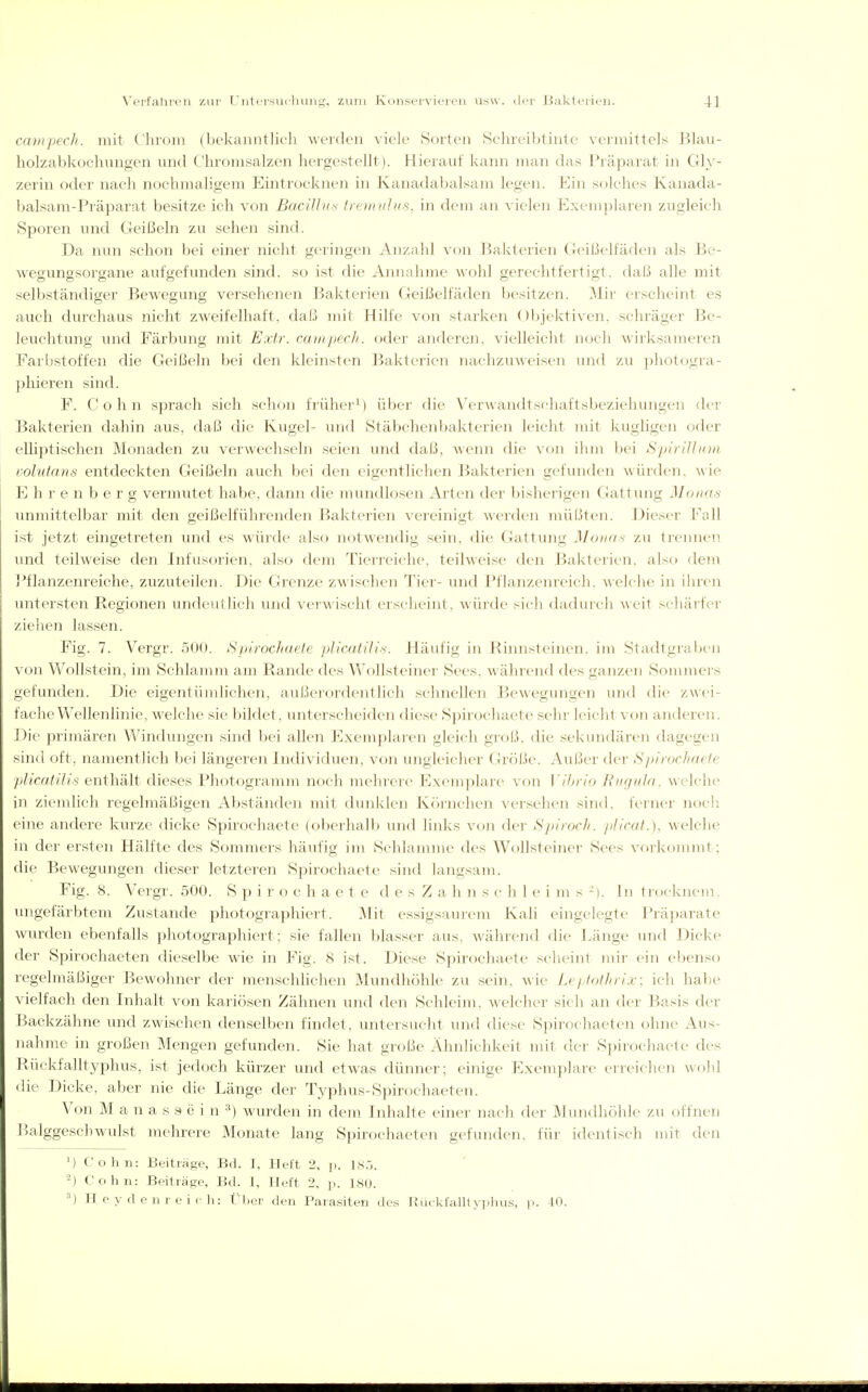 canipech. mit (lironi (bekanntJieli werden viele Sorten Schreibtintc vermittels Blau- holzabkochungen und Chromsalzen hergestellt). Hierauf kann man das Präparat in Gly- zerin oder nach nochmaligem Eintrocknen in Kanadabalsam legen. Ein solches Kanada- balsam-Präparat besitze ich von Bacillus Iremulus, in dem an vielen Exemplaren zugleich Sporen und Geißeln zu sehen sind. Da nun schon bei einer nicht geringen Anzalil von Bakterien Geißelfäden als Be- wegungsorgane aufgefunden sind, so ist die Annahme wohl gerechtfertigt, daß alle mit selbständiger Bewegung versehenen Bakterien Geißelfäden besitzen. Mir erscheint es auch durchaus nicht zweifelhaft, daß mit Hilfe von starken Objektiven, schräger Be- leuchtung und Färbung mit Extr. cajnpech. oder anderen, vielleicht noch wirksameren Farbstoffen die Geißeln bei den kleinsten Bakterien nachzuweisen und zu photogra- phieren sind. F. C o h n sprach sich schon früher^) über die \^erwandtschaftsbeziehungen der Bakterien dahin aus, daß die Kugel- und Stäbchenbakterien leicht mit hügligen oder elliptischen Monaden zu verwechseln seien und daß, wenn die von ihm bei SpiriUum volutans entdeckten Geißeln auch bei den eigentlichen Bakterien gefunden würden, wie E h r e n b e r g vermutet habe, dann die mundlosen Arten der bisherigen Gattung Monm unmittelbar mit den geißelführenden J^akterien vereinigt werden müßten. Dieser Fall ist jetzt eingetreten und es würde also notAvendig sein, die Gattung Monas zu trennen und teilweise den Infusorien, also dem Tierreiche, teilweise den Bakterien, also dem Pflanzenreiche, zuzuteilen. Die Grenze zwischen Tier- und Pflanzenreich, welche in ihren untersten Regionen undeutlich und verwischt erscheint, würde sich dadurch Aveit schärfei- ziehen lassen. Fig. 7. Vergr. 500. Spirochoele pliadilis. Häufig in Rinnsteinen, im Stadtgrabeii von Wollstein, im Schlamm am Rande des Wollsteiner Sees, während des ganzen Sommers gefunden. Die eigentümlichen, außerordentlich schnellen Bewegungen und die zwei- fache Wellenlinie, welche sie bildet, unterscheiden diese Spii'ochaete sehr leicht von anderen. Die primären Windungen sind bei allen Exemplaren gleich groß, die sekundären dagegen sind oft, namentlich bei längeren Individuen, von ungleicher Größe. Außer der Spirochaefe plicatilis enthält dieses Photogramm noch mehrere Exemplare von Vibrio RiKjuUt, welche in ziemlich regelmäßigen Abständen mit dunklen Kfirnchen versehen sind, ferner noch eine andere kurze dicke Spirochaete (oberhalb und links von der SpIrocJi. plicat.), welche in der ersten Hälfte des Sommers häufig im Schlamme des Wollsteinei- Sees vorkommt; die Bewegungen dieser letzteren Spirochaete sind langsam. Fig. 8. Vergr. 500. Spirochaete d e s Z a h n s c h 1 e i m s - ). In trocknem, ungefärbtem Zustande photographiert. Mit essigsaurem Kali eingelegte Präjiarate wurden ebenfalls photographiert; sie fallen blasser aus, während die Länge und Dicke der Spirochaeten dieselbe wie in Fig. 8 ist. Diese Spirochaete scheint mir ein ebenso regelmäßiger Bewohner der mensclüichen Mundhöhle zu sein, wie LeptotJirix; ich habe vielfach den Inhalt von kariösen Zähnen und den Schleinr. welcher sich an der Basis der Backzähne und zwischen denselben findet, untersuclit und diese Spirochaeten ohne Aus- nahme in großen Mengen gefunden. Sie hat große Ähnlichkeit mit der Spirochaete des Rückfalltyphus, ist jedoch kürzer und etwas dünner; einige Exemplare erreichen wohl die Dicke, aber nie die Länge der Typhus-Spirochaeten. \ on M a n a s 1^ e i n wurden in dem Inhalte einer nach der Mundhöhle zu offnen l^alggeschwulst mehrere Monate lang Spirochaeten gefunden, für identisch mit den M Cohn: Beiträge, Bd. I, Helt 2, p. IS.,. -) Cohn: Beiträge, Bd. 1, Heft 2, p. ISO. ^) H e y d e n r e i (■ h: t^ber den Parasiten des Rtukfalllvuhus. p. 40.