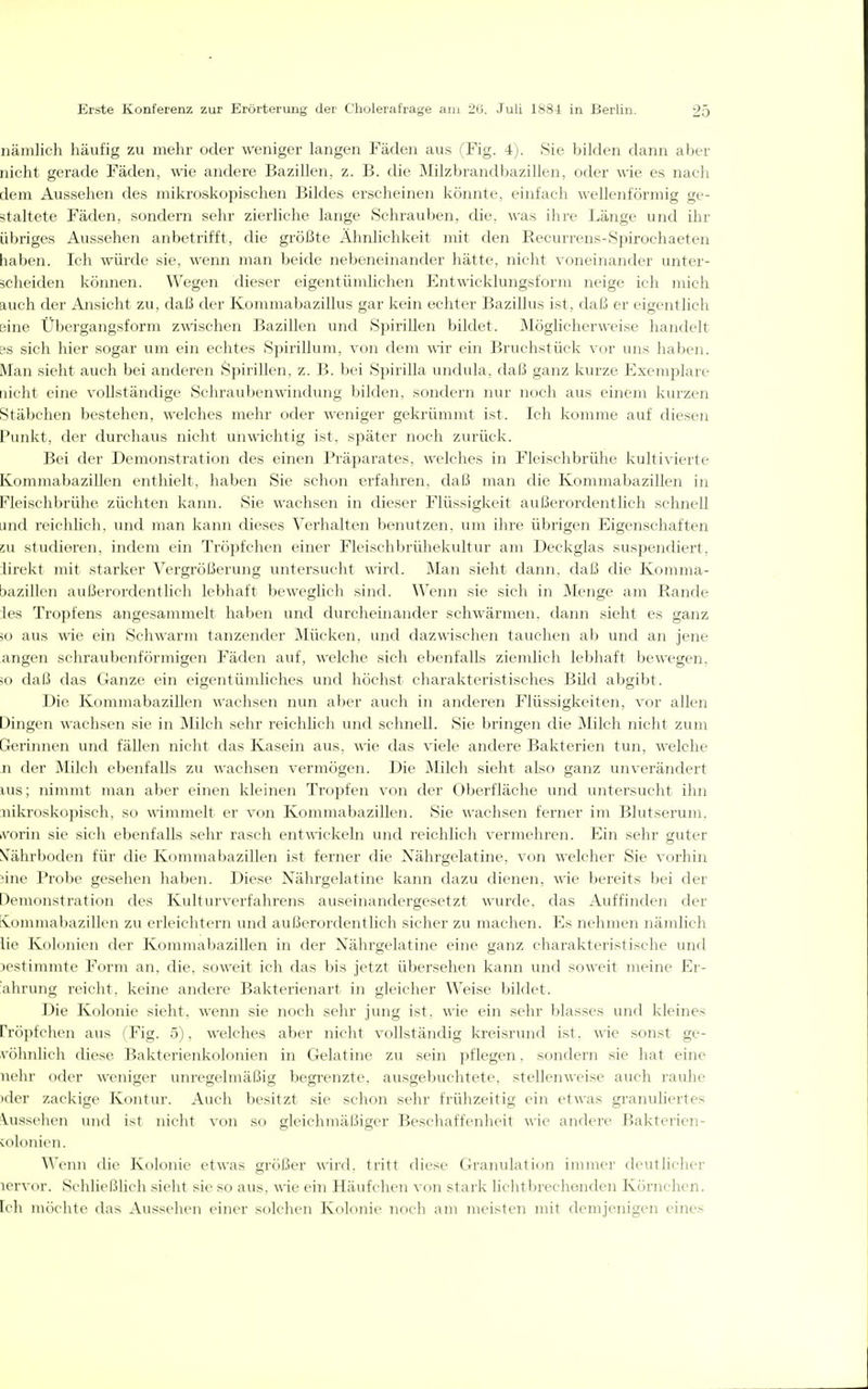 nämlich häufig zu mehr oder weniger langen Fäden aus (Fig. 4). Sie bilden dann aber nicht gerade Fäden, wie andere Bazillen, z. B. die Milzbrandbazillen, oder wie es nach dem Aussehen des mikroskopischen Bildes erscheinen könnte, einfach wellenförmig ge- staltete Fäden, sondern sehr zierliche lange Schrauben, die. was ihre Länge und ihr übriges Aussehen anbetrifft, die größte Ähnlichkeit mit den Recurreus-Spirochaeten haben. Ich würde sie, wenn man beide nebeneinander hätte, nicht voneinander unter- scheiden können. Wegen dieser eigentümlichen Entwicklungsform neige ich mich auch der Ansicht zu, daß der Kommabazillus gar kein echter Bazillus ist, daß er eigentlich eine Übergangsform zmschen Bazillen und Spirillen bildet. Möglicherweise handelt BS sich hier sogar um ein echtes Spirillum, von dem wir ein Bruchstück vor uns haben. Man sieht auch bei anderen Spirillen, z. B. bei Spirilla undula. daß ganz kurze Exemplare nicht eine vollständige Schraubenwindung bilden, sondern nur noch aus einem kurzen Stäbchen bestehen, Avelches mehr oder weniger gekrümmt ist. Ich komme auf diesen Punkt, der durchaus nicht uiiwichtig ist. später noch zurück. Bei der Demonstration des einen Präparates, welches in Fleischbrühe kultivierte Kommabazillen enthielt, haben Sie schon erfahren, daß man die Kommabazillen in Fleischbrühe züchten kann. Sie wachsen in dieser Flüssigkeit außerordentlich schnell und reichlich, und man kann dieses Verhalten benutzen, um ihre übrigen Eigenschaften zu studieren, indem ein Tröpfchen einer Fleischbrühekultur am Deckglas suspendiert, lirekt init starker Vergrößerung untersucht wird. Man sieht dann, daß die Komma- bazillen außerordentlich lebhaft beweglicli sind. Wenn sie sich in Menge am Rande les Tro})fens angesammelt haben und durcheinander schwärmen, dann sieht es ganz 5o aus wie ein Schwärm tanzender Mücken, und dazwischen tauchen al) vmd an jene angen schraubenförmigen Fäden auf, welche sich ebenfalls ziemlich lebhaft bewegen, ;o daß das Ganze ein eigentümliches und höchst charakteristisches Bild abgibt. Die Kommabazillen wachsen nun aber auch in anderen Flüssigkeiten, vor allen Dingen \\-achsen sie in IMilch sehr reichlich und schnell. Sie bringen die Milch nicht zum Grerimien und fällen nicht das Kasein aus, wie das viele andere Bakterien tun, welche n der iNIilcli el)enfalls zu wachsen vermögen. Die Milch sieht also ganz unverändert lus; nimmt man aber einen kleinen Tropfen von der Oberfläche und untersucht ihn nikroskopisch, so wimmelt er von Kommabazillen. Sie wachsen ferner im Blutserum, A'orin sie sich ebenfalls sehr rasch entwickeln und reichlich vermehren. Ein sehr guter S'ährboden für die Kommabazillen ist ferner die Nährgelatine, von welcher Sie vorhin iine Probe gesehen haben. Diese Nährgelatine kann dazu dienen, wie bereits bei der Demonstration des Kulturverfahrens auseinandergesetzt wurde, das Auffinden der [vommabazillen zu erleichtern und außerordentlich sicher zu machen. Es nehmen nämlich lie Kolonien der K()mmal)azillen in der Nährgelatine eine ganz charakteristische und )estimmte Form an, die, soweit ich das bis jetzt übersehen kann und soweit meine Er- ahrung reicht, keine andere Bakterienart in gleicher Weise bildet. Die Kolonie sieht, wenn sie noch sehr jung ist. wie ein sehr blasses und kleines Pröpfchen aus (Fig. 5). welches aber nicht vollständig kreisrund ist. wie sonst ge- völmlich diese Bakterienkolonien in Gelatine zu sein pflegen. sondern sie hat eine nehr oder weniger unregelmäßig begi'enzte, ausgebuchtete, stellenweise auch rauhe xler zackige Kontur. Auch besitzt sie schon sehr frülizeitig ein etwas granuliertes Vusselieii 1111(1 i>t iiidil von so gleichmäßiger Beschaffenheit wie andere Baktei'ien- colonieii. Wenn dir Kuldiiie etwas größer wird, tritt diese Granulation immer deutlicher lervor. Schließlich sieht sie so aus, wie ein Häufchen von stark lichtbrechenden Körnchen. Feh möchte das Aussehen einer solchen Kolonie noch am meisten mit demjenigen eines