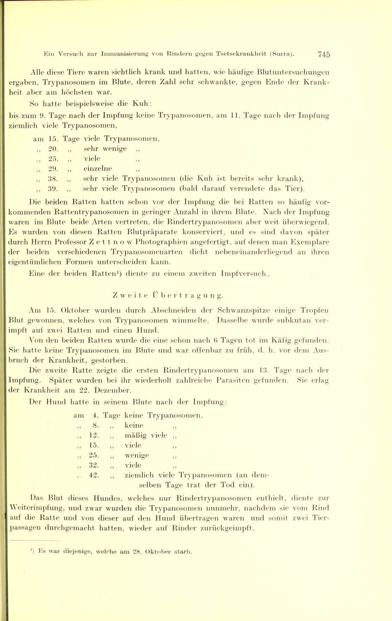 Alle diese Tiere waren sichtlich krank und hatten, wie häufige Blutuntersuchungen ergaben, Trypanosomen im Blute, deren Zahl sehr schwankte, gegen Ende der Krank- heit aber am höchsten war. So hatte beispielsweise die Kuh : bis zum 9. Tage nach der Impfung keine Trypanosomen, am 11. Tage nach der Impfung ziemlich viele Trypanosomen, am 15. Tage viele Trypanosomen, ,, 20. ,, sehr wenige ,, „ 25. viele ,, 29. ,, einzelne ,, ,, 38. ,, sehr viele Trypanosomen (die Kuh ist bereits sehr krank), ,, 39. ,, sehr viele Trypanosomen (bald darauf verendete das Tier). Die beiden Ratten hatten schon vor der Impfung die bei Ratten so häufig vor- kommenden Rattentrypanosomen in geringer Anzahl in ihrem Blute. Nach der Impfung waren im Blute beide Arten vertreten, die Rindertrypanosomen aber weit überwiegend. Es wurden von diesen Ratten Blutpräparate konserviert, und es sind davon später durch Herrn Professor Z e 11 n o w Photographien angefertigt, auf denen man Exemplare der beiden verschiedenen Trypanosomenarten dicht nebeneinanderliegend an ihren eigentümlichen Formen unterscheiden kann. Eine der beiden Ratten^) diente zu einem zweiten Impfversuch. Zweite Übertragung. Am 15. Oktober wurden durch Abschneiden der Schwanzspitze einige Tropfen Blut gewonnen, welches von Trypanosomen wimmelte. Dasselbe wurde subkutan ver- impft auf zwei Ratten und einen Hund. Von den beiden Ratten wurde die eine schon nach 6 Tagen tot im Käfig gefunden. Sie hatte keine Trypanosomen im Blute und war offenbar zu früh, d. h. vor dem Aus- bruch der Krankheit, gestorben. Die zweite Ratte zeigte die ersten Rindertrypanosomen am 13. Tage nach der Impfung. Später wurden bei ihr wiederholt zahlreiche Parasiten gefunden. Sie erlag der Krankheit am 22. Dezember. Der Hund hatte in seinem Blute nach der Impfung: am 4. Tage keine Trypanosomen, 8. ,, keine ,, ,, 12. ,, mäßig viele ,, „ 15. ,, viele ,, 25. „ wenige „ 32. „ viele ,, 42. ,, ziemlich viele Trypanosomen (an dem- selben Tage trat der Tod ein). Das Blut dieses Hundes, welches nur Rindertrypanosomen enthielt, diente zur Weiterimpfung, und zwar wurden die Trypanosomen nunmehr, nachdem sie vom Rind auf die Ratte und von dieser auf den Hund übertragen waren und somit zwei Tier- passagen durchgemacht hatten, wieder auf Rinder zurückgeimpft. ') Es war diejenige, welche am 28. Oktober starb.
