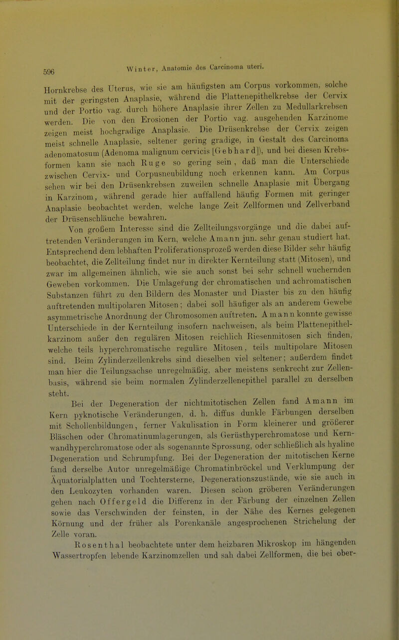 Hornkrebse des Uterus, wie sie am häufigsten am Corpus vorkommen, solche mit der geringsten Anaplasie, während die Plattenepithelkrebse der Cervix und der Portio vag. durch höhere Anaplasie ihrer Zellen zu Medullarkrebsen werden. Die von den Erosionen der Portio vag. ausgehenden Karzinome zeigen meist hochgradige Anaplasie. Die Drüsenkrebse der Cervix zeigen meist schnelle Anaplasie, seltener gering gradige, in Gestalt des Carcinoma adenomatosum (Adenoma malignum cervicis [Gebhard]), und bei diesen Krebs- formen kann sie nach Rüge so gering sein, daß man die Unterschiede zwischen Cervix- und Corpusneubildung noch erkennen kann. Am Corpus sehen wir bei den Drüsenkrebsen zuweilen schnelle Anaplasie mit Übergang in Karzinom, während gerade hier auffallend häufig Formen mit geringer Anaplasie beobachtet werden, welche lange Zeit Zellformen und Zellverband der Drüsenschläuche bewahren. Von großem Interesse sind die Zellteilungsvorgänge und die dabei auf- tretenden Veränderungen im Kern, welche Amann jun. sehr genau studiert hat. Entsprechend dem lebhaften Proliferationsprozeß werden diese Bilder sehr häufig beobachtet, die Zellteilung findet nur in direkter Kernteilung statt (Mitosen), und zwar im allgemeinen ähnlich, wie sie auch sonst bei sehr schnell wuchernden Geweben vorkommen. Die Umlagef ung der chromatischen und achromatischen Substanzen führt zu den Bildern des Monaster und Diaster bis zu den häufig auftretenden multipolaren Mitosen; dabei soll häufiger als an anderem Gewebe asymmetrische Anordnung der Chromosomen auftreten. Amann konnte gewisse Unterschiede in der Kernteilung insofern nachweisen, als beim Plattenepithel- karzinom außer den regulären Mitosen reichlich Riesenmitosen sich finden, welche teils hyperchromatische reguläre Mitosen, teils multipolare Mitosen sind. Beim Zylinderzellenkrebs sind dieselben viel seltener; außerdem findet man hier die Teilungsachse unregelmäßig, aber meistens senkrecht zur Zellen- basis, Avährend sie beim normalen Zylinderzellenepithel parallel zu derselben steht. Bei der Degeneration der nichtmitotischen Zellen fand Amann im Kern pyknotische Veränderungen, d. h. diffus dunkle Färbungen derselben mit Schollenbildungen, ferner Vakulisation in Form kleinerer und größerer Bläschen oder Chromatinumlagerungen, als Gerüsthyperchromatose und Kem- wandhyperchromatose oder als sogenannte Sprossung, oder schließlich als hyaline Degeneration und Schrumpfung. Bei der Degeneration der mitotischen Kerne fand derselbe Autor unregelmäßige Chromatinbröckel und Verklumpung der Äquatorialplatten und Tochtersterne, Degenerationszustände, wie sie auch in den Leukozyten vorhanden waren. Diesen schon gröberen Veränderungen gehen nach Offergeid die Differenz in der Färbung der einzelnen Zellen sowie das Verschwinden der feinsten, in der Nähe des Kernes gelegenen Körnung und der früher als Porenkanäle angesprochenen Strichelung der Zelle voran. Rosenthal beobachtete unter dem heizbaren Mikroskop im hängenden Wassertropfen lebende Karzinomzellen und sah dabei Zellformen, die bei ober-
