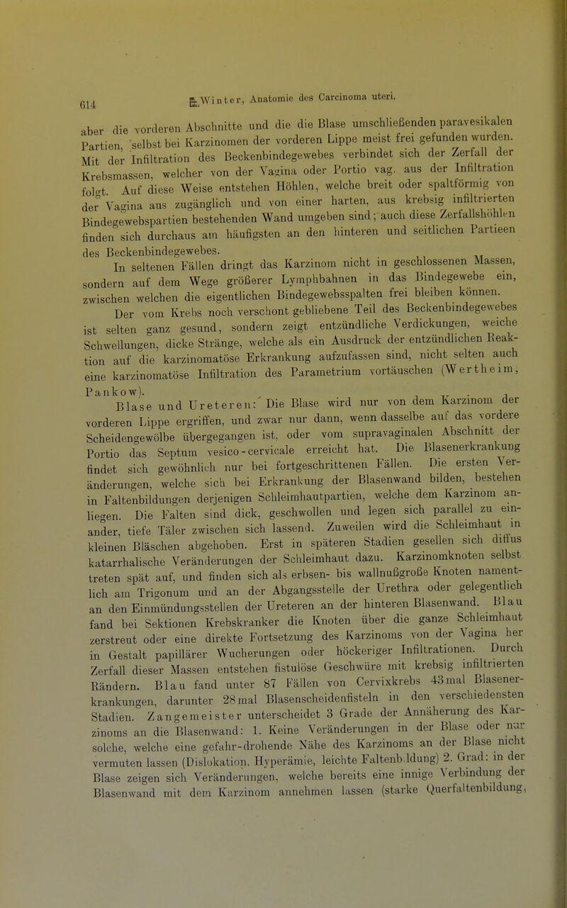 aber die vorderen Abschnitte und die die Blase umschließenden paravesikalen Partien selbst bei Karzinomen der vorderen Lippe meist frei gefunden wurden. Mit der Infiltration des Beckenbindegewebes verbindet sich der Zerfall der Krebsmassen, welcher von der Va^^^ina oder Portio vag, aus der Infiltration fokt Auf diese Weise entstehen Höhlen, welche breit oder spaltförmig von der Vagina aus zugänglich und von einer harten, aus krebsig infiltrierten Bindegewebspartien bestehenden Wand umgeben sind; auch diese Zertallshohlen finden sich durchaus am häufigsten an den hinteren und seitlichen Partieen des Beckenbindegewebes. In seltenen Fällen dringt das Karzinom nicht in geschlossenen Massen, sondern auf dem Wege größerer Lyoiphbahnen in das Bindegewebe ein, zwischen welchen die eigentlichen Bindegewebsspalten frei bleiben können. Der vom Krebs noch verschont gebliebene Teil des Beckenbindegewebes ist selten ganz gesund, sondern zeigt entzündliche Verdickungen, weiche Schwellungen, dicke Stränge, welche als ein Ausdruck der entzündlichen Reak- tion auf die karzinomatöse Erkrankung aufzufassen sind, mclit selten auch eine karzinomatöse Infiltration des Parametrium vortäuschen (Wertheim, Pankow). , . , Blase und Ureteren:'Die Blase wird nur von dem Karzinom der vorderen Lippe ergriffen, und zwar nur dann, wenn dasselbe auf das vordere Scheidengewölbe übergegangen ist, oder vom supravaginalen Abschnitt der Portio das Septum vesico - cervicale erreicht hat. Die Blasenerkrankung findet sich gewöhnlich nur bei fortgeschrittenen Fällen. Die ersten \er- änderungen, welche sich bei Erkrankung der Blasenwand bilden, bestehen in Faltenbildungen derjenigen Schleimhautpartien, welche dem Karzinom an- liec^en Die Falten sind dick, geschwollen und legen sich parallel zu ein- ander, tiefe Täler zwischen sich lassend. Zuweilen wird die Schleimhaut in kleinen Bläschen abgehoben. Erst in späteren Stadien gesellen sich diöus katarrhalische Veränderungen der Schleimhaut dazu. Karzinomknoten selbst treten spät auf, und finden sich als erbsen- bis wallnußgroße Knoten nament- lich am Trigonum und an der Abgangsstelle der Urethra oder gelegentlich an den Einmündungssteilen der Ureteren an der hinteren Blasenwand. Blau fand bei Sektionen Krebskranker die Knoten über die ganze Schleimhaut zerstreut oder eine direkte Fortsetzung des Karzinoms von der Vagina her in Gestalt papillärer Wucherungen oder höckeriger Infiltrationen. Durch Zerfall dieser Massen entstehen fistulöse Geschwüre mit krebsig infiltrierten Bändern. Blau fand unter 87 Fällen von Cervixkrebs 43mal Blasener- krankungen, darunter 28 mal Blasenscheidenfisteln in den verschiedensten Stadien. Zangemeister unterscheidet 3 Grade der Annäherung des Kar- zinoms an die Blasenwand: l. Keine Veränderungen in der Blase oder nur solche, welche eine gefahr-drohende Nähe des Karzinoms an der Blase nicht vermuten lassen (Dislokation, Hyperämie, leichte Faltenb.ldung) 2. Grad: in der Blase zeigen sich Veränderungen, welche bereits eine innige Verbindung der Blasenwand mit dem Karzinom annehmen lassen (starke Querfaltenbildung,