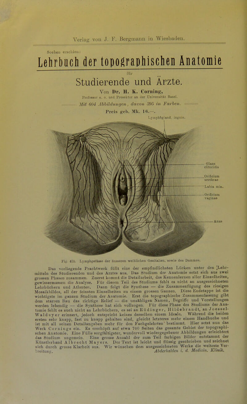 Soeben erscliieu: Lehrbuch der topographischen Anatomie für Studierende und Ärzte. Von Dr. II. K. Coruiiif^', Professor o. o, und Prosektor an der üniversitilt Basel. Mit 604 Ahhilclungen, davon 395 in Farben. == Preis geb. Mk. 16.—. Lymphftgland. inguiri. Fig. 456. Lymphgefässe der äusseren weiblichen Genitalien, sowie des Dammes. Das vorliegende Prachtwerk füllt eine der empfindlichsten Lücken unter den [Lehr- mitteln des Studierenden und des Arztes aus. Das Studium der Anatomie setzt sich aus zwei grossen Phasen zusammen. Zuerst kommt die Detailarbeit, das Kennenlernen aller Einzelheiten, gewissermassen die Analyse. Für diesen Teil des Studiums fehlt es nicht an ausgezeichneten Lehrbüchern und Atlanten. Dann folgt die Synthese — die Zusammenfügung des riesigen Mosaikbildes, all der feinsten Einzelheiten zu einem grossen Ganzen. Diese Endetappe ist die wichtigste im ganzen Studium der Anatomie. Erst die topographische Zusammenfassung gibt dem starren Bau das richtige Relief — die unzähligen Namen, Begriffe und Vorstellungen werden lebendig — die Synthese hat sich vollzogen. Für diese Phase des Studiums der Ana- tomie fehlt es auch nicht au Lehrbüchern, es sei an Eüdinger, Hildebrandt, auJoessel- Waldeyer erinnert, jedoch entspricht keines derselben einem Ideale. Während die beiden ersten sehr knapp, fast zu knapp gehalten sind, gleicht letzteres mehr einem Handbuche und ist mit all seinen Detailangahen mehr für den Fachgelehrten' bestimmt. Hier setzt nun das Werk Comings ein. Es erschöpft auf etwa 700 Seiten das gesamte Gebiet der topographi- schen Anatomie. Eine Fülle sorgfältigster, wundervoll wiedergegebener Abbildungen erleichtert das Studium ungemein. Eine grosse Anzahl der zum Teil farbigen Bilder entstammt der Künstlerhand Albrecht Mayers. Der Text ist leicht und flüssig geschrieben und zeichnet sich durch grosse Klarheit aus. Wir wünschen dem ausgezeichneten Werke die weiteste Ver-