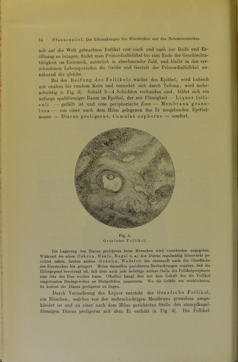 mit auf die Welt gebrachten Follikel erst nach und nach zur Reife und Er- öffnung zu bringen, findet man Primordialfollikel bis zum Ende der Geschlechts- tätigkeit im Eierstock, natürlich in abnehmender Zahl, und bleibt in den ver- schiedenen Lebensperioden die Größe und Gestalt der Primordialfollikel an- nähernd die gleiche. Bei der Reifung des Follikels wächst das Epithel, wird kubisch mit ovalem bis rundem Kern und vermehrt sich durch Teilung, wird mehr- schichtig (s. Fig. 3). Sobald 3—4 Schichten vorhanden sind, bildet sich ein anfangs spaltförmiger Raum im Epithel, der mit Flüssigkeit — Liquor folli- culi — gefüllt ist und eine peripherische Zone — Membrana granu- lös a — von einer nach dem Hilus gelegenen das Ei umgebenden Epithel- masse — Discus proligerus, Cumulus oophorus — sondert. Fig. 4. Graafscher Follikel. Die Lagerung des Discus proligerus beim Menschen wird verschieden angegeben. Während die einen (Schrön, Henle, Nagel u. a.) den Discus regelmäßig hiluswärts ge- richtet sahen, fanden andere (Schulin, Wedeler) ihn ebensooft nach isv Oberfläche des Eierstockes hin gelagert. Meine daraufhin gerichteten Beobachtungen ergaben, daß die Hilusgegend bevorzugt ist, daß aber auch jede beliebige andere Stelle der Follikelperipherie zum Sitz des Eies werden kann. Offenbar hängt dies mit dem Gehalt des die Follikel umgebenden Bindegewebes an Blutgefäßen zusammen. Wo die Gefäße am reichlichsten, da kommt der Discus proligerus zu liegen. Durch Vermehrung des Liquor entsteht der Graafsche Follikel, ein Bläschen, welches von der mehrschichtigen Membrana granulosa ausge- kleidet ist und an einer nach dem Hilus gerichteten Stelle den stumpfkegel- förmigen Discus proligerus mit dem Ei enthält (s. Fig. 4). Die Follikel-