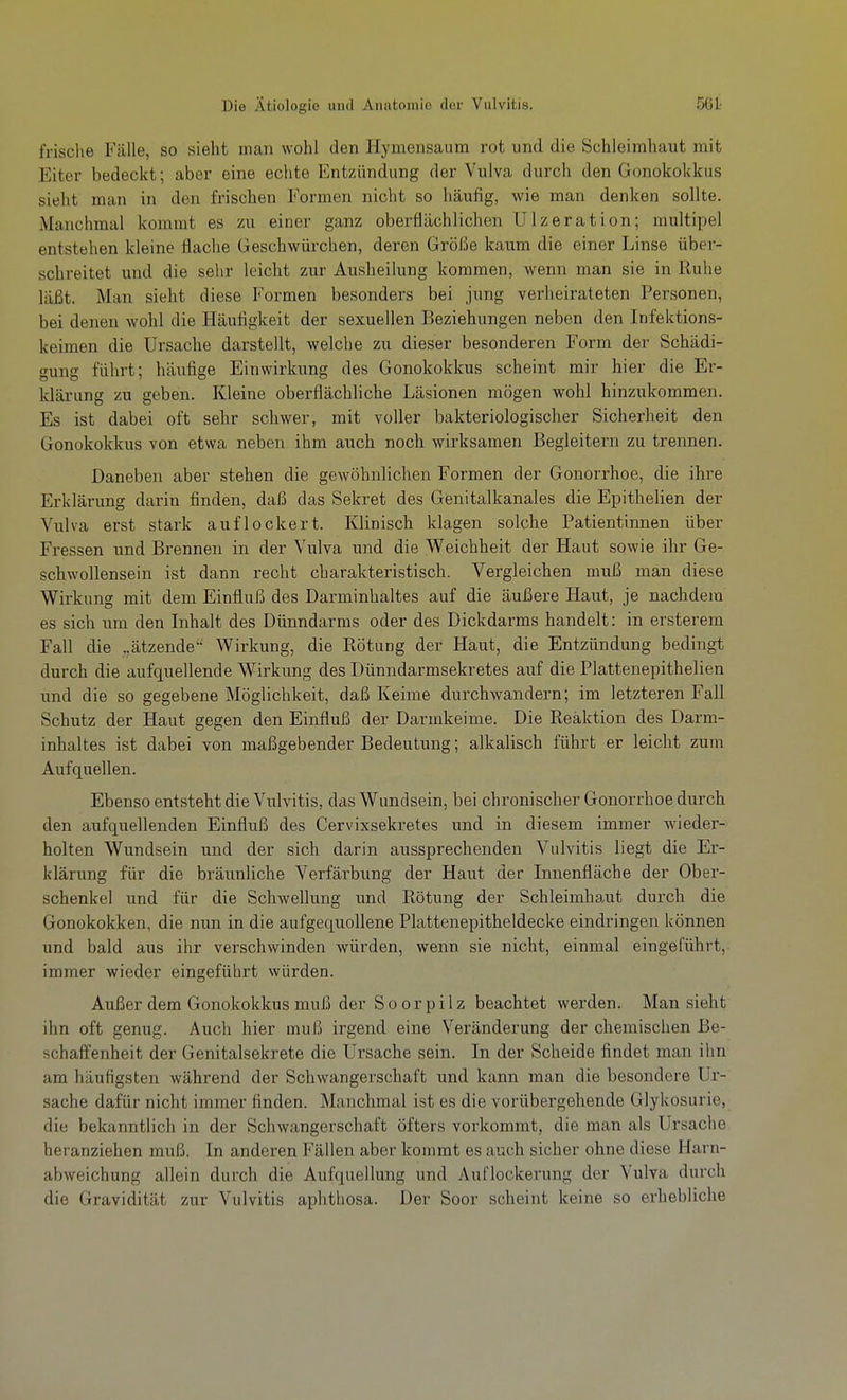 frisclie Fälle, so sieht man wohl den Hymensaum rot und die Schleimhaut mit Eiter bedeckt; aber eine eclite Entzündung der Vulva durch den Gonokokkus sieht man in den frischen Formen nicht so häufig, wie man denken sollte. Manchmal kommt es zu einer ganz oberflächlichen Ulzeration; multipel entstehen kleine flache Geschwürchen, deren Größe kaum die einer Linse über- schreitet und die sehr leicht zur Ausheilung kommen, wenn man sie in Ruhe läßt. Man sieht diese Formen besonders bei jung verheirateten Personen, bei denen wohl die Häufigkeit der sexuellen Beziehungen neben den Infektions- keimen die Ursache darstellt, welche zu dieser besonderen Form der Schädi- gung führt; häufige Einwirkung des Gonokokkus scheint mir hier die Er- klärung zu geben. Kleine oberflächliche Läsionen mögen wohl hinzukommen. Es ist dabei oft sehr schwer, mit voller bakteriologischer Sicherheit den Gonokokkus von etwa neben ihm auch noch wirksamen Begleitern zu trennen. Daneben aber stehen die gewöhnlichen Formen der Gonorrhoe, die ihre Erklärung darin finden, daß das Sekret des Genitalkanales die Epithelien der Vulva erst stark auflockert. Klinisch klagen solche Patientinnen über Fressen und Brennen in der Vulva und die Weichheit der Haut sowie ihr Ge- schwollensein ist dann recht charakteristisch. Vergleichen muß man diese Wirkung mit dem Einfluß des Darminhaltes auf die äußere Haut, je nachdem es sich um den Inhalt des Dünndarms oder des Dickdarms handelt: in ersterem Fall die „ätzende'' Wirkung, die Rötung der Haut, die Entzündung bedingt durch die aufquellende Wirkung des Dünndarmsekretes auf die Plattenepithelien und die so gegebene Möglichkeit, daß Keime durchwandern; im letzteren Fall Schutz der Haut gegen den Einfluß der Darmkeime. Die Reaktion des Darm- inhaltes ist dabei von maßgebender Bedeutung; alkalisch führt er leicht zum Aufquellen. Ebenso entsteht die Vulvitis, das Wundsein, bei chronischer Gonorrhoe durch den aufqueflenden Einfluß des Cervixsekretes und in diesem immer wieder- holten Wundsein und der sich darin aussprechenden Vulvitis liegt die Er- klärung für die bräunliche Verfärbung der Haut der Innenfläche der Ober- schenkel und für die Schwellung und Rötung der Schleimhaut durch die Gonokokken, die nun in die aufgequollene Plattenepitheldecke eindringen können und bald aus ihr verschwinden würden, wenn sie nicht, einmal eingeführt,- immer wieder eingeführt würden. Außer dem Gonokokkus muß der S o o r p i l z beachtet werden. Man sieht ihn oft genug. Auch hier muß irgend eine Veränderung der chemischen Be- schaffenheit der Genitalsekrete die Ursache sein. In der Scheide findet man ihn am häufigsten während der Schwangerschaft und kann man die besondere Ur- sache dafür nicht immer finden. Manchmal ist es die vorübergehende Glykosurie, die bekanntlich in der Schwangerschaft öfters vorkommt, die man als Ursache heranziehen muß. In anderen Fällen aber kommt es auch sicher ohne diese Harn- abweichung allein durch die Aufquellung und Auflockerung der Vulva durch die Gravidität zur Vulvitis aphthosa. Der Soor scheint keine so erhebliche