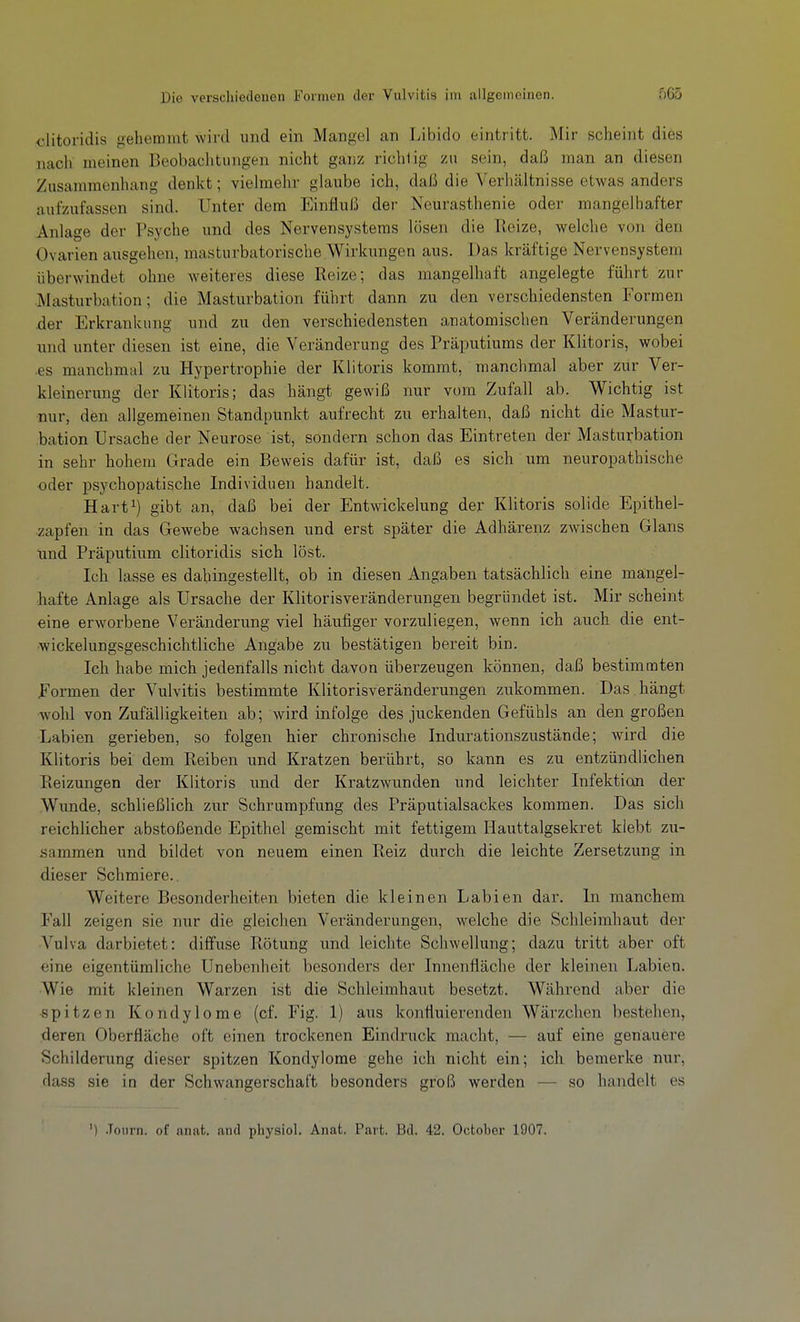 clitoridis gehemmt wird und ein Mangel an Libido eintritt. Mir scheint dies nacli nieinen Beobaclitiingen nicht ganz richtig zu sein, daß man an diesen Zusammenhang denkt; vielmehr glaube ich, daß die Verhältnisse etwas anders aufzufassen sind. Unter dem Einfluß der Neurasthenie oder mangelhafter Anlage der Psyche und des Nervensystems lösen die Reize, welche von den Ovarien ausgehen, masturbatorische Wirkungen aus. Das kräftige Nervensystem überwindet ohne weiteres diese Reize; das mangelhaft angelegte führt zur Masturbation; die Masturbation führt dann zu den verschiedensten Formen ■der Erkrankung und zu den verschiedensten anatomischen Veränderungen und unter diesen ist eine, die Veränderung des Präputiums der Klitoris, wobei •es manchmal zu Hypertrophie der Klitoris kommt, manchmal aber zur Ver- kleinerung der Klitoris; das hängt gewiß nur vom Zufall ab. Wichtig ist •nur, den allgemeinen Standpunkt aufrecht zu erhalten, daß nicht die Mastur- bation Ursache der Neurose ist, sondern schon das Eintreten der Masturbation in sehr hohem Grade ein Beweis dafür ist, daß es sich um neuropathische oder psychopatische Individuen handelt. Hart^) gibt an, daß bei der Entwicklung der Klitoris solide Epithel- •zapfen in das Gewebe wachsen und erst später die Adhärenz zwischen Glans und Präputium clitoridis sich löst. Ich lasse es dahingestellt, ob in diesen Angaben tatsächlich eine mangel- hafte Anlage als Ursache der Klitorisveränderungen begründet ist. Mir scheint eine erworbene Veränderung viel häufiger vorzuliegen, wenn ich auch die ent- ■wickelungsgeschichtliche Angabe zu bestätigen bereit bin. Ich habe mich jedenfalls nicht davon überzeugen können, daß bestimmten formen der Vulvitis bestimmte Klitorisveränderungen zukommen. Das hängt ■wohl von Zufälligkeiten ab; wird infolge des juckenden Gefühls an den großen Labien gerieben, so folgen hier chronische Indurationszustände; wird die Klitoris bei dem Reiben und Kratzen berührt, so kann es zu entzündlichen Reizungen der Klitoris und der Kratzwunden und leichter Infektion der Wunde, schließlich zur Schrumpfung des Präputialsackes kommen. Das sich reichlicher abstoßende Epithel gemischt mit fettigem Hauttalgsekret klebt zu- sammen und bildet von neuem einen Reiz durch die leichte Zersetzung in dieser Schmiere.. Weitere Besonderheiten bieten die kleinen Labien dar. In manchem Fall zeigen sie nur die gleichen Veränderungen, welche die Schleimhaut der ■Vulva darbietet: diffuse Rötung und leichte Schwellung; dazu tritt aber oft eine eigentümliche Unebenheit besonders der Innenfläche der kleinen Labien. Wie mit kleinen Warzen ist die Schleimhaut besetzt. Während aber die •spitzen Kondylome (cf. Fig. 1) aus konfluierenden Wärzchen bestehen, deren Oberfläche oft einen trockenen Eindruck macht, — auf eine genauere Schilderung dieser spitzen Kondylome gehe ich nicht ein; ich bemerke nur, dass sie in der Schwangerschaft besonders groß werden — so handelt es ') .Toiirn. of anat. and physiol. Anat. Part. Bd. 42. October 1907.
