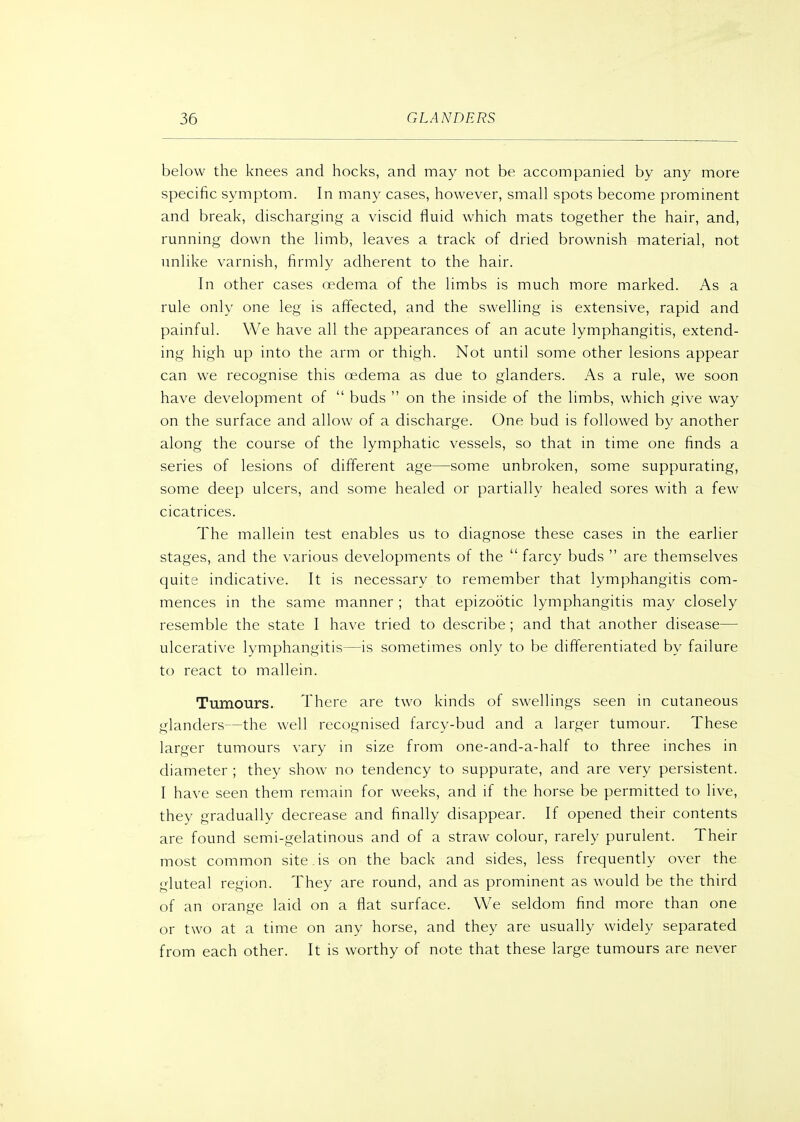 below the knees and hocks, and may not be accompanied by any more specific symptom. In many cases, however, small spots become prominent and break, discharging a viscid fluid which mats together the hair, and, running down the limb, leaves a track of dried brownish material, not imlike varnish, firmly adherent to the hair. In other cases oedema of the limbs is much more marked. As a rule only one leg is affected, and the swelling is extensive, rapid and painful. We have all the appearances of an acute lymphangitis, extend- ing high up into the arm or thigh. Not until some other lesions appear can we recognise this oedema as due to glanders. As a rule, we soon have development of  buds  on the inside of the limbs, which give way on the surface and allow of a discharge. One bud is followed by another along the course of the lymphatic vessels, so that in time one finds a series of lesions of different age—some unbroken, some suppurating, some deep ulcers, and some healed or partially healed sores with a few cicatrices. The mallein test enables us to diagnose these cases in the earlier stages, and the various developments of the  farcy buds  are themselves quite indicative. It is necessary to remember that lymphangitis com- mences in the same manner ; that epizootic lymphangitis may closely resemble the state I have tried to describe ; and that another disease— ulcerative lymphangitis—is sometimes only to be differentiated by failure to react to mallein. Tumours. There are two kinds of swellings seen in cutaneous glanders—the well recognised farcy-bud and a larger tumour. These larger tumours vary in size from one-and-a-half to three inches in diameter ; they show no tendency to suppurate, and are very persistent. I have seen them remain for weeks, and if the horse be permitted to live, they gradually decrease and finally disappear. If opened their contents are found semi-gelatinous and of a straw colour, rarely purulent. Their most common site, is on the back and sides, less frequently over the gluteal region. They are round, and as prominent as would be the third of an orange laid on a flat surface. We seldom find more than one or two at a time on any horse, and they are usually widely separated from each other. It is worthy of note that these large tumours are never
