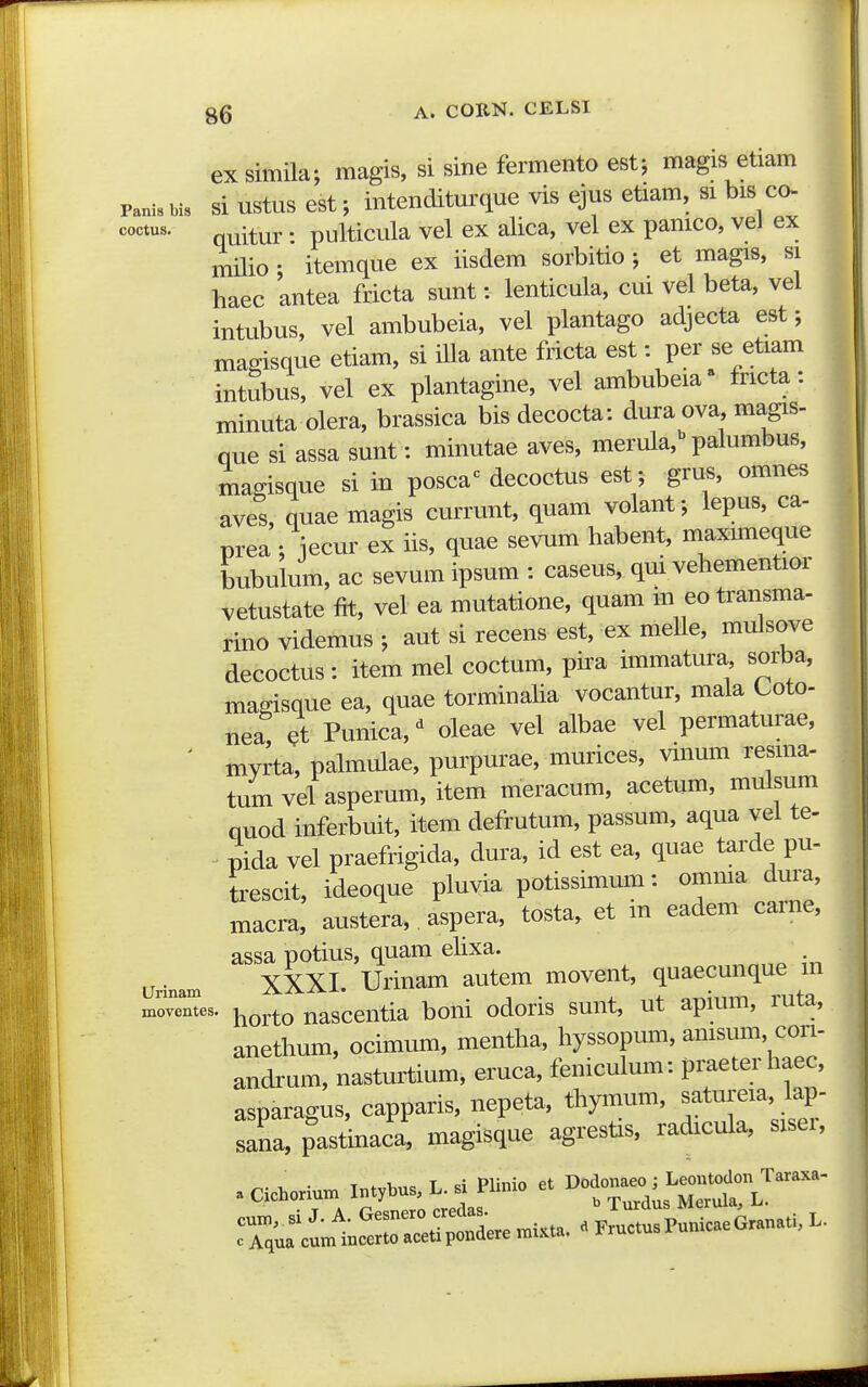 exsimila; magis, si sine fermento estj magis etiam Panis bis si ustus est; intenditurque vis ejus etiam, si bis co- ■ quitur • pulticula vel ex alica, vel ex pamco, vel ex milio ; itemque ex iisdem sorbitio ; et magis, si haec antea fricta sunt: lenticula, cui vel beta, vel intubus, vel ambubeia, vel plantago adjecta est; magisque etiam, si iUa ante fricta est: per se etiam intubus, vel ex plantagine, vel ambubeia fncta: minuta olera, brassica bis decocta: dura ova, magis- nue si assa sunt: minutae aves, merula, palumbus, magisque si in posca^^ decoctus est; grus, omnes aves, quae magis currunt, quam volanf, lepus, ca- prea : \ecnv ex iis, quae sevum habent, maxmieque bubulum, ac sevum ipsum : caseus, qui vehementior vetustate fit, vel ea mutatione, quam m eo transma- rino videmus ; aut si recens est, ex melle, mulsove decoctus: item mel coctum, pira immatura sorba, magisque ea, quae torminaha vocantur, mala Coto- nea! et Punica,' oleae vel albae vel permaturae, ' myrta, pahuulae, purpurae, murices, vinum resma- tum vel asperum, item meracum, acetum, mulsum quod inferbuit, item defrutum, passum, aqua vei te- pida vel praefrigida, dura, id est ea, quae tarde pu- trescit, ideoque pluvia potissimum: omma dura, macra, austera,. aspera, tosta, et in eadem carne, assa potius, quam ehxa. XXXI. Urinam autem movent, quaecunque m moveites. ^g^^Q nascentia boni odoris sunt, ut apmm, luta, anethum, ocimum, mentlia, hyssopmn, amsum, con- andrum, nasturtium, eruca, feniculum: pi^eter haec, asparagus. capparis, nepetB, thymum, f ~J sana, pastmaca, magisque agrestis, radicula, sisei, • Cichoriu» lntybu»,^.si Plinio e. ^^^-^-^^^^X^^::^^'''^'