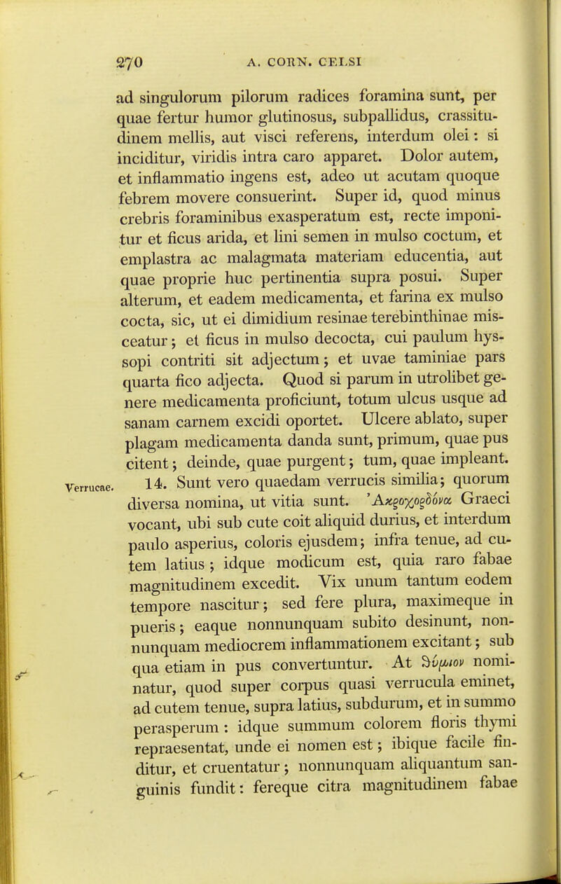 ad singulorum pilorum radices foramina sunt, per quae fertur humor glutinosus, subpallidus, crassitu- dinem mellis, aut visci referens, interdum olei: si inciditur, viridis intra caro apparet. Dolor autem, et inflammatio ingens est, adeo ut acutam quoque febrem movere consuerint. Super id, quod minus crebris foraminibus exasperatum est, recte imponi- tur et ficus arida, et lini semen in mulso coctum, et emplastra ac malagmata materiam educentia, aut quae proprie huc pertinentia supra posui. Super alterum, et eadem medicamenta, et farina ex mulso cocta, sic, ut ei dimidium resinae terebinthinae mis- ceatur; et ficus in mulso decocta, cui paulum hys- sopi contriti sit adjectum j et uvae taminiae pars quarta fico adjecta. Quod si parum in utroHbet ge- nere medicamenta proficiunt, totum ulcus usque ad sanam carnem excidi oportet. Ulcere ablato, super plagam medicamenta danda sunt, primum, quae pus citent; deinde, quae purgent; tum, quae impleant. 14. Sunt vero quaedam verrucis simiHa; quorum diversa nomina, ut vitia sunt. ' AK^oYfi^Um Graeci vocant, ubi sub cute coit aHquid durius, et interdum paulo asperius, coloris ejusdem; infra tenue, ad cu- tem latius ; idque modicum est, quia raro fabae magnitudinem excedit. Vix unum tantum eodem tempore nascitur; sed fere plura, maximeque in pueris; eaque nonnunquam subito desinunt, non- nunquam mediocrem inflammationem excitant; sub qua etiam in pus convertuntur. At ^y^;ov nomi- natur, quod super coi-pus quasi verrucula eminet, ad cutem tenue, supra latius, subdurum, et in summo perasperum: idque summum colorem floris thymi repraesentat, unde ei nomen est; ibique facile fin- ditur, et cruentatur; nonnunquam aHquantum san- ^uinis fundit: fereque citra magnitudinem fabae