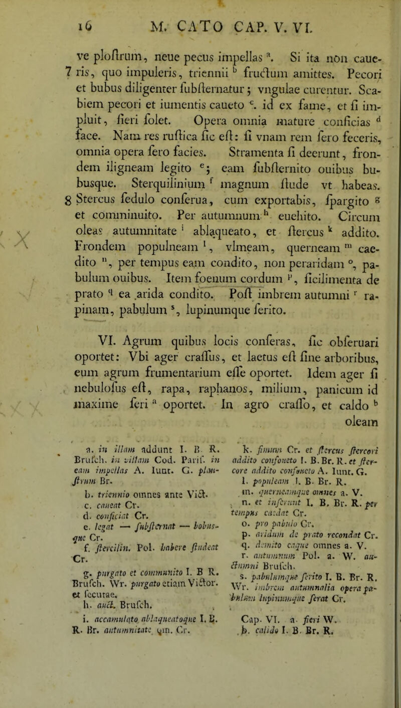 ve plonrum, neue peciis impellas ^ Si ita non cauc- 7 ris, quo impuleris, tricnnii ^ fruc^ium amittes. Pecori et bubus diiigenter lubflernatur 5 vngulae curentur. Sca- biem pecori et iumentis caueto ^ id ex fame, et fi im- piuit, lieri folet. Opera omnia mature conficias face. Nam res ruflica fic eft: li vnam rem fero feceris, omnia opera fero facies. Stramenta fi deerunt, fron- dem iligneam Jegito eam fubflernito ouibus bu- busque. Sterquilinium ^ magnum fkide vt habeas. 8 Stercus fedulo conferua, cum exportabis, ipargito s et comminuito. Per autumnumeuehito. Circum oleas autumnitate ' ablaqueato, et Aercus ^ addito. Frondem popuinean:i ', vlmeam, querneam cae- dito per tempus eam condito, non pcraridam °, pa- bulumouibus. Item foenum cordumficiiimenta de prato 1 ea arida condito. Poft imbrem autumni ra- pinam, pabulum lupinumque ferito. VI. Agrum quibus locis conferas, fic obferuari oportet: Vbi ager crafTus, et laetus eftfine arboribus, eum agrum frumentarium elTe oportet. Idem a^er fi nebulofus efi, rapa, raphanos, miiium, panicum id maxime fcri oportet. In agro crafTo, et caldo ^ oleam a. iu Ulam addunt I. 1? R. Brufcli. hi •jiltnm Cod. P.uif- m eain impuUas A. luat. G. pLvt' Jirnm Br. b. triennio omnes ante Viil. c. canent Cr. d. coiificir.t Cr. e. lcgat — fubjlcrnat — lohiis^ ^nc Cr. f. ftercilin. Pol. hnhcre ftiidcat Cr. g. pmgnto et covmiunito I. B R. Brurdi. Wr. f/n-^flfoctiain Vi>ftor. et fccutae. h. aucL Brufch. i. accamtilqto ndl.tqneatoque I. £|. R. Br. aiitumnitati i^in. Cr. k. fimiwi Cr. ef ftcrcus ftcrcovi addito coufoiicto I. B.Br. R.et ftef- core addito co^ifonctu A. lunt. G. 1. pnpuleam I. B- Br. R. m. ijneriicamque omnes a. V. n. <f infciimt I. B. Br. R. per tempHs ca:dat Cr. o. pvo paliulo Cr. p. aridnm di prr.to recondat Cr. q. d:mito cr.qm omnes a. V. r. aiitumnum Pol. a. W. ati- (Imnni Brufch. s. pahiluinqne ftvito I. B. Br. R. Wr. inibrcm aiitHmnnlia opera pa- 'i»ilii-!;i lupinnmque ferat Cr. Cap. VI. a. feri W. >. calidi I. B. Br. R.