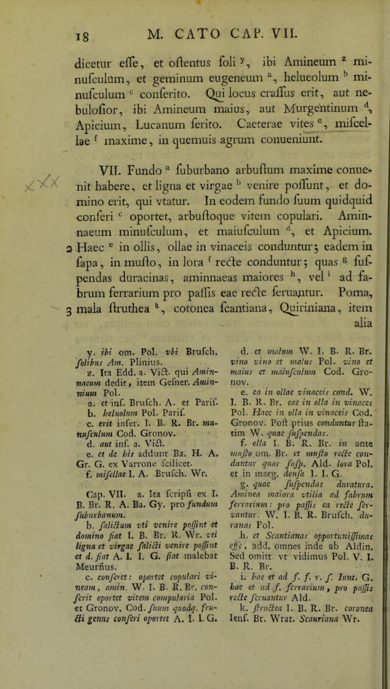 dicetur elTe, et oftentus foliy, ibi Amineum ^ mi- nufcuiam, et geminum eugeneum heiueoium ^ mi- nuiculum conferito. Qui iocus craffus erit, aut ne- bulofior, ibi Amineum maius, aut Murgentinum \ Apicium, Lucanum ferito. Caeterae vites ^, mifcei- iae ^ maxime, in quemuis agrum conueniunt. VIL Fundo ^ fuburbano arbuflum maxime conue- nit habere., et iigna et virgae venire polTunt, et do- mino erit, qui vtatur. In eodem fundo faum quidquid conferi ^ oportet, arbuftoque vitem copuiari. Amin- naeum minulcuium, et maiufcuium et Apicium. 2 Haec ^ in oiiis, oiiae in vinaceis conduntur, eadem ia fapa, in mufto, in iora ^ rede conduntur 5 quas ^ fuf- pendas duracinas, aminnaeas maiores vel' ad fa- brum ferrarium pro paflls eae rede feruajitur. Poma, 3 maia firuthea cotonea fcantiana, Quiriniana, item aiia y. ihi om. Pol. vbi Brufcli. folihus Am. Plinius. z. Ita Edd. a. Vift. qui Amin- nmmn dedit, item Gefner. Amin- nium Pol. a. ct inf. Brufch. A. ct Paiif. b. helmlnm Pol. Parif. c. erit infer. I. B. R. Br. »m- nufculum Cod. Gronov. d. aut inf. a. Vift. e. et de hit addunt Ba. H. A. Gr. G. cx Varrone fcilicet. f. mifdlae I. A. Brufch. Wr. Cap. VII. a. Ita fcripfi ex I, B. Br. R. A. Ba. Gy. ^xo fundnm fnbnthaitHm. b. fali^lum vti venire pnljint et Aomino fiat I. B. Br. K. Wr. ligna et virgae falicli venire jiojfmt et d. fiat A. 1. I. G. fiat malebat Meurfius. c. confevet: oportet copulari vi- neam, amin. W. I. B. R. Br. coji- ferit oportet vitem compularia Pol. ct Gronov. Qod. fuMii quoiq. fru- Hi genns conferi oportet A. I. 1. G. d. ct mahim W. I. B. R. Br. vino viiio et inalus Pol. viiio et tnnius ct maiufculum Cod. Gro- nov. e. ca in ollae vinaceis cond, W. I. B. K. Br. eae in olla in vinaces Pol. Haec in olla in vinaceis Cod. Gronov. Poft prius coTirfKWtar fta- tim W. quac fufpendas. f. olla I. B. R. Br. m ante iniijio om. Br. et mufto rccte con- diinttir quds fifp. Ald- lora Pol. et in mnvg. denfa I. I. G- g. quae fiifpcndas duratura. Aminea niaiora vtilia ad fahrum ferrnrinm: pro pajjis ea recte fer- vavtur. W. I. B. R. Brufch. dn- ranas Pol. h. ct Scajitianas opportnnifjimas cjje, add. omnes inde ab Aldin. Sed omitt vt vidimus Pol. V. I. B. R. Br. i. hne et ad f. f. v. f. Lmt. G. hae et ad f. fcrrarium , pro pnjfis vcSle fcruantiir Ald. k. ftrnSiea I. B. R. Br. coronea lenf. Br. Wrat. ScaHtiana Wr.