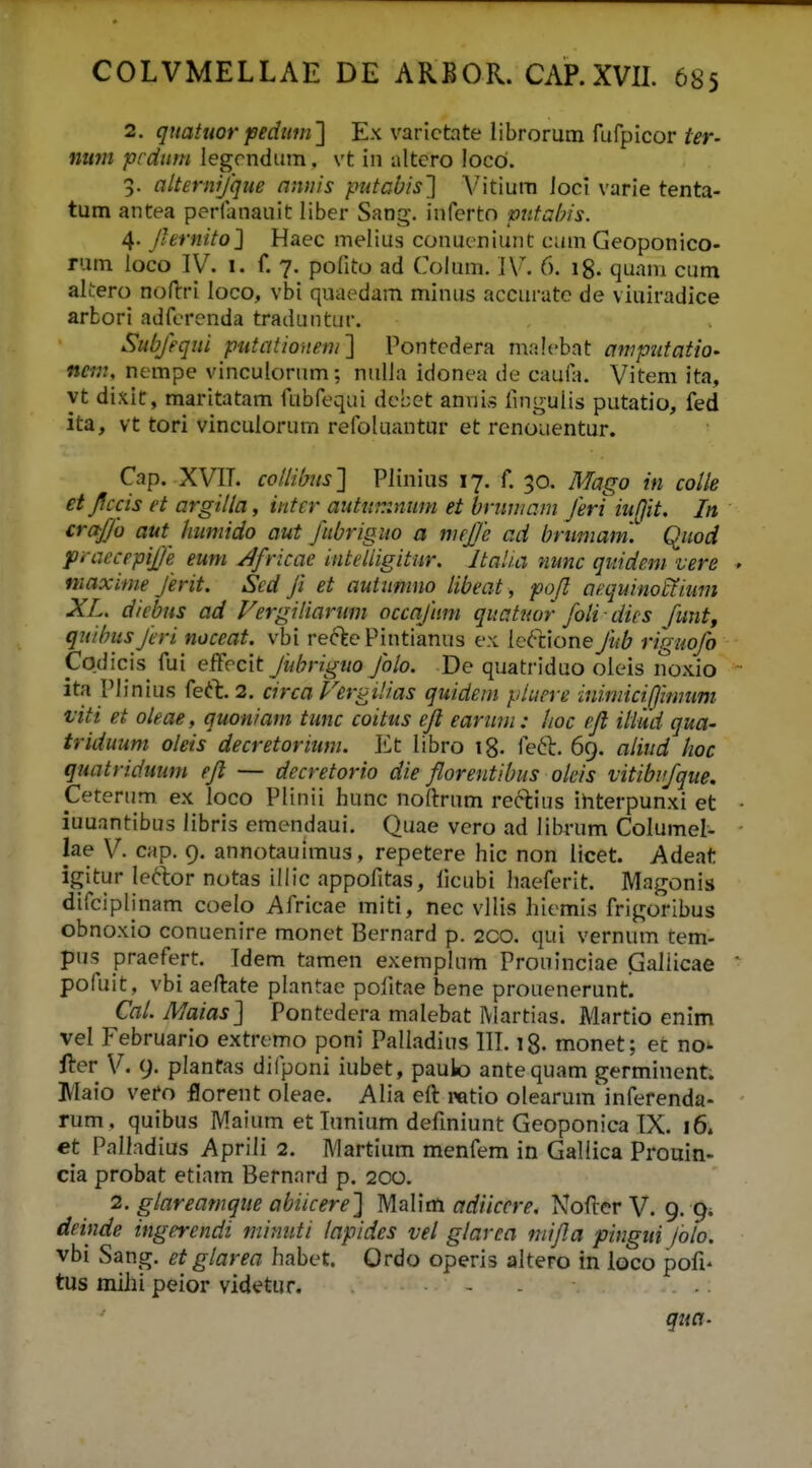 2. gnatuor pediim'] Ex varictate librorum fufpicor/^r- mun prdum iegrndum. vt in ultero locd. 3. alternijqne nnnis putabis'] Vitium Jocl varie tenta- tum antea perlanauit liber Sang. inferto ■ptttahis. 4. Jhrnito] Haec melius conueniunt cam Geoponico- rum ioco IV. 1. f. 7. pofito ad Colum. IV. 6. ig. quam cum alfero noflri loco, vbi quaedam mlnus accurate de viuiradice arbori adferenda tradiinttn-. Subjequi putatioueni] Pontedera malebat ampufatiO' ner,2, nempe vinculorum; niilla idonea de caufa. Vitem ita, yt dixic, maritatam fubfequi debet annis fingulis putatio, fed ita, vt tori vinculorum refoluantur et renouentur. Cap. XVIL coHibits] Plinius 17. f. 30. Mago in coUe et Jiccis et argilla, inter autttr.:num et briiniam Jeri iu[}it, In crctffo aut humido aut fttbriguo a nujje ad briimam\ Qitod jOi-necepil/e eum Africae intelligitur. Italia nunc qitidem vere niaxime Jerit. Sed Ji et autiimno libeat, pofl aequinoBtium XL, diebns ad Vergiliarum occajum quatnor foli dics fiintf quihusJeri noceat. vbi rec^ePintianus ex leftioneJhb riguofo Codicis fui ef^ccit fiihnguo Jolo. De quatriduo oleis noxio ita Plinius feft. 2. circa rergiHas quideni phiere inimicifjimum viti et oleae, quoniam timc coitus eft earttm: lioc efl iliud qua- triduum oleis decretoriuni. Et libro ig. fe6I:. 69. aliitd hoc quatridtium efl — decretorio die florentibus okis vitibifqite. Ceterum ex loco Plinii hunc noftrum reclius ihterpunxi et iuuantibus libris emendaui. Quae vero ad librum Columel- lae V. cap. 9. annotauimus, repetere hic non licet. Adeat igitur le^lor notas illic appofitas, ficubi haeferit. Magonis difciplinam coelo Africae miti, nec vllis hiemis frigoribus obnoxio conuenire monet Bernard p. 2C0. qui vernum tem- pus praefert. Idem tamen exemplum Prouinciae Galiicae pofuit, vbi aeftate plantae pofitae bene prouenerunt. Cal. IWaias] Pontedera malebat Martias. Martio enim vel Februario extremo poni Palladius III. ig. monet; et no^ fter V. 9. planfas difponi iubet, paulo antequam germinent. Maio vefo florent oleae. Alia eft i>atio oIearum'inferenda- rum, quibus Maium et Tunium defmiunt Geoponica TX. 16. et Palladius Aprili 2. Martium menfem in Galiica Prouin- cia probat etiam Bernnrd p. 200. 2. glareamque abiicere] Malim fl-rf/Vfrr^. Nofter V. 9. 9^ deinde ingerendi mintiti lapides vel glarea mifla pingiii folo. vbi Sang. et glarea habet. Ordo operis altero in loco pofi- tus miJii peior videtur, . . qua-