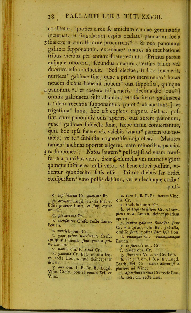 . confifetur, quoties circa fe araidum caudae gemmaiitis incuruat, ct fingularum capita oculataP pennarum locis Sluisexerit cum flridore procurrens''. Si oua pauonum gallinis fljpponantur, excufatae'^ matres ab incubationc tribus vicibus per annum foetus edunt. Primus partus quinque ouorum, fecundus quatuor, tertiiis trinm vel duorum eflc confueuit. Sed eiedae, fi lioc placuerit, nutriees* gallinae lint, quae a primo incremento' Junac nouem diebus habeant nouem^ oua'fuppofita, quinque 4pauonina et caetera fui generis. decima die [0^3^ ] omnia gallinacea fubtrahantur, et alia item'^ gallinacea totidem recentia fupponantur, [quot * ablata funt,] vt trigefima luna, hoc el\ expJetis triginta diebus, pof- fint cum pauoninis ouis aperiri. oua autem pauonum, quae'^ gaJJinae fubieda funt, laepe jnanu conuertantur, quia hoc ipfa facere vix valebit. vnam^ partem oui no- tabis, vt te^ lubinde co^juertiffe cognofcas. Maiorcs famen^ galJinas oportet eJigere ; nam minoribus paucio- 5 ra fuppones Natos [autem puilos] fi ad vnam tranf- ferre a piuribus velis, dicit (i^oiumeiia vni nutrici viginti quinque fufficere. mihi vero, vt bene educi poflint, vi- dentur quindecim fatis efle. Primis diebus far ordei conlperfcm' vino puliis dabitur, veJ vndecunque coda ^ pulti- z. tunc I. B. R. Br. iierum Vinc. om. Cr. a. inclurax)mitr. Cr. b. vt trigiuta ditbns Cr. vt tom- pUtis tr. d. Louan. deinceps idem aperire. c. cdntrit gattinae fubieclae /unt Cr. antiquus, vbi Baf. fubitHa, omifTo/wnt. poftea haec ipfa Lou. d. vnamque Cr. vnamquamqut LouaftV' ■■ ' e. te fuhtnie om. Cr. f. tamen om. Cr. g. fiipponas Vinc. et Cr. Lou. h. ant pnll. om. I. B. R. Br. Lugd. Barth. Erf. Cr. natos atUtm fi a pluribiis ad Vinc. i. afptrfnwtmnintCt. rii\\&LQ\.u k. coito Cr. vei^ Lou. o. cupiditattm Cr, qttotiens Br. , p, occulata occHita Erf. er Edici praeter luntt. et fing,.e)(erit om. Cr. . , ■ . .„,.».,. o,,.,', , q. P^rcnrrens Cr. -y iii^by r. exmfantur Crefc, refle tamen Louan. s. ■nutricet om. Cr. t. qiiae primo nutrimento Crefc. aptiquuus iiieiis. fmt quae a pri. ifto Loiian.' V. noHem om. E. vona Cr. ' k. panenit. Cr. Baf. omiflb feq. et. TQilz Louan. qui dcinceps et decima. y. ona om. 1. B. Rr. R, Lugd. Virtc. Crefc. contra omniii ^rt. et Vinc.