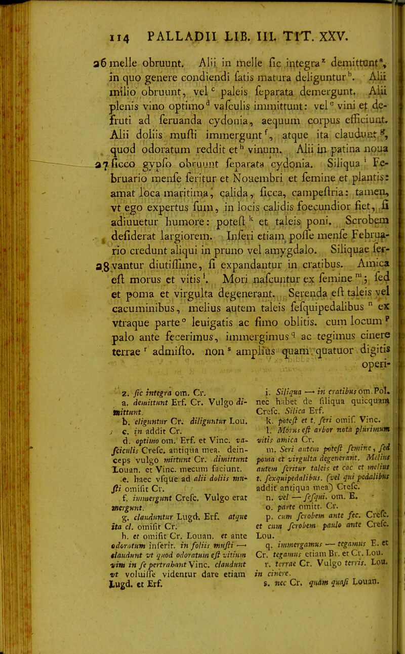 a6inelle obruunt. Alii in rtielle fic integra''- demittunt, in quo genere condiendi fatis matura deliguntur*^. AUi milio'obruunt, velpaleis feparata demergunt. Aiii plenis vino optimo^ vafculis immittunt: vel^ vini et 4? fruti ad feruanda cydouia, aequum corpus efficiunt. Aiii doiiis mufti immergunt*^, atque ita claudiuit,**, ^ quod odoratum reddit et ^ vinum. Alii in patina noaa —a? ficco gvDfo obruunt fenarata cydonia. Siliqua ' Fe- bruario menfe feritur et Noaembri et lemine et piantis: amat ioca maritimacalida, ficca, campefiria: tamen, vt ego expertus fuai, in iocis caiidis foecundior fiet, .ii adiuuetur liumore: poteftet taleis, poui. Scrobem . j defiderat iargiorem. Inferi etiam^ polfe menfe Febru^- rio credunt aliqui in pruno vei amygdalo. Siiiquae fer- a.Svantur diutiflime, fi expandantur in cratibus. Amica eft morus ct vitis'. Mpri nafcuiitur ex femine j et poma et virgulta degenerant. Serenda eft taleis vel cacuminibus, meiius autem taieis fefquipedaiibus  ex vtraque parte ° leuigatis ac fimo obiitis. cum iocum ^ paio ante fccerimus, immergimus'^ ac tegimus cinere terrae admifto. non * anipiias -(^uamvquatuor digitis ' ' operi- i. Siliqm —■ in cratibus om.Vol. nec hnbet de filiqua quicquam Crcfc. Silica Evf. k. pouft et t, feri omif Vinc. 1. Mdruseft arbor notii plurintum vitis atnica Cr, ni. Seri aiitem poteft femine, fed poma ei virgulta (iegeiieraTit. MSus auttm fcritur takis et cac et melius t. fexquipedalibus. (vel qui pedalibns addit antiqua niea) Ctefc. n. vel— fefqui. om. E. o. parte omitf- Cr. p. ciim fcrobem ante fec. Crefc. ct ciim fcrobem paulo ante Crefc. Lou. q. immeigamus ■— tegamus E. et Cr. tegamus ctiam Bi. et Cv. Lou. r. terrae Cr. Vulgo ttiris. Lou. in civere. s. nec Cr. qndm quaji Louan. z. fic integra om. Cr. a. demittunt Erf. Cr. Vulgo Ai- nittiivt. b. eligH7ttiir Cr. diliguntur Lou. j c. in addit Cr. d. optiino om. Erf. et Vinc. va- fciculis Crefc. antiqua mea. dein- ceps vulgo mixtunt Cv. dimittunt Louan. ct Vinc. mecum faciunt. .e. haec vfque ad alii doliis mti' fii omifit Cv. f. immergtmt Crefc. Vulgo erat meygmit. g. clandnntur Lugd. Erf. atque ita cl. omifit Cr. h. et omifit Cr. Louan. tt ante edbrtttum inferit. in foliis mufti •—• tlaudunt vt quod odoratum eft vitium «»» in fe pertrabnnt Vinc. claudnvt vt voluiffe videntur dare etiam Lugd. ct £rf.