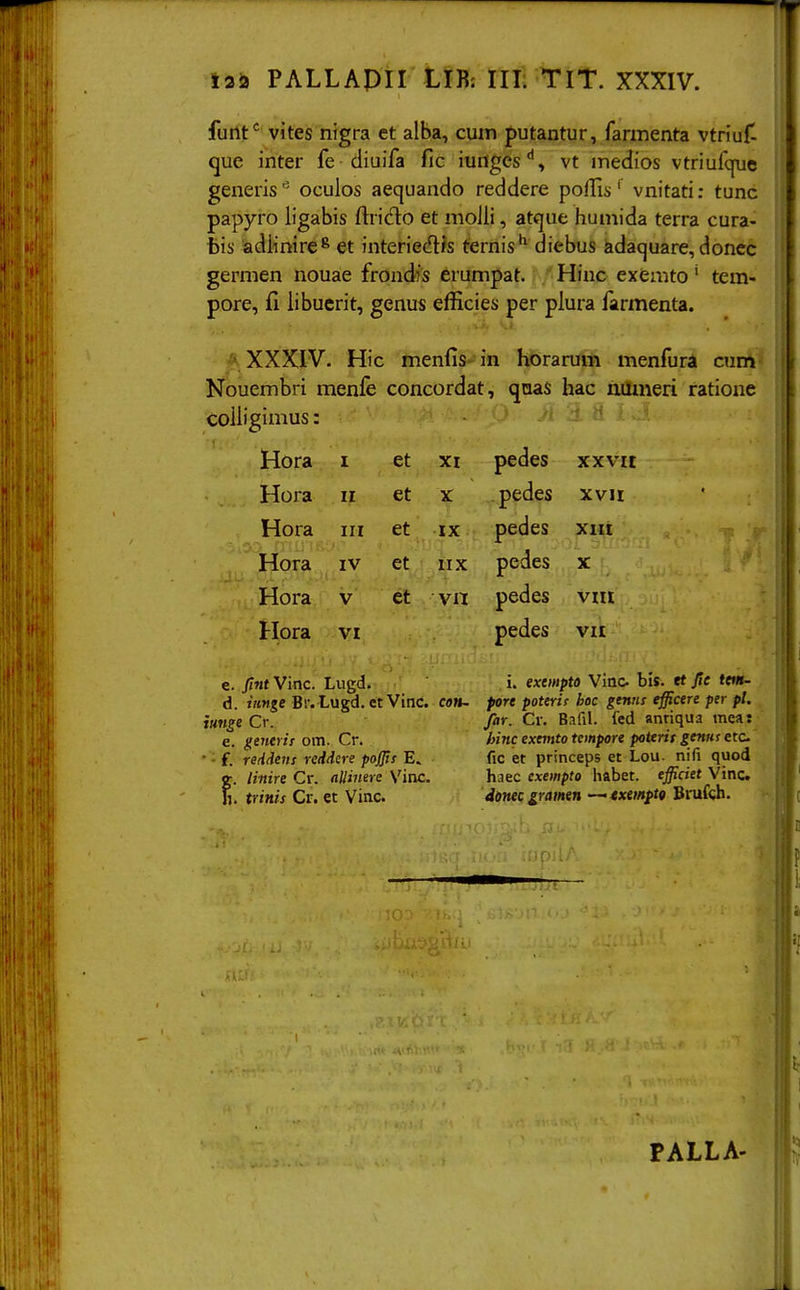 furtt*^ vites nigra et alba, cum putantur, farinenta vtriufl que inter fe diuifa fic iutigcs'', vt inedios vtriufcjue generis'' oculos aequando reddere polfis' vnitati: tunc papyro ligabis ftridio et molli, atfjue huniida terra cura- tis adiinire^ et interiecflfs ternis** diebus adacjuare, donec germen nouae frondfs erumpat. Hinc exemto' tem- pore, fi libuerit, genus efficies per plura farmenta. XXXIV. Hic menfis-'in l^rarum menfura cum Nouembri menfe concordat, quas hac ninneri ratione colligimus: Hora I et XI pedes xxvit Hora II et x: . pedes XVII Hora III et ■.n •IX pedes Xllt Hora IV et IIX pedes X Hora V et vn pedes vm Hora VI pedes VII e. Jint Vinc. Lugd. i. exempto Vinc bis. et fie tem- d. imge Bl'. Lugd. et Vinc. con~ pore poterie boc genns efficere per pl. iunge Cv. far. Cr. Bafil. fed anriqua mea: e. ^e?t<nV om. Cr. hinc exemto tempore poterit genm etc • - f. reiideiit rcddere pojjis E. fic et princeps et Lou. nifi quod g. iinire Cr. nUinere Vinc. haec exempto habet. efficiet Vinc fi. trinis Cr. et Vinc. donecgramtn •—«xemptg Bmfch. PALLA-