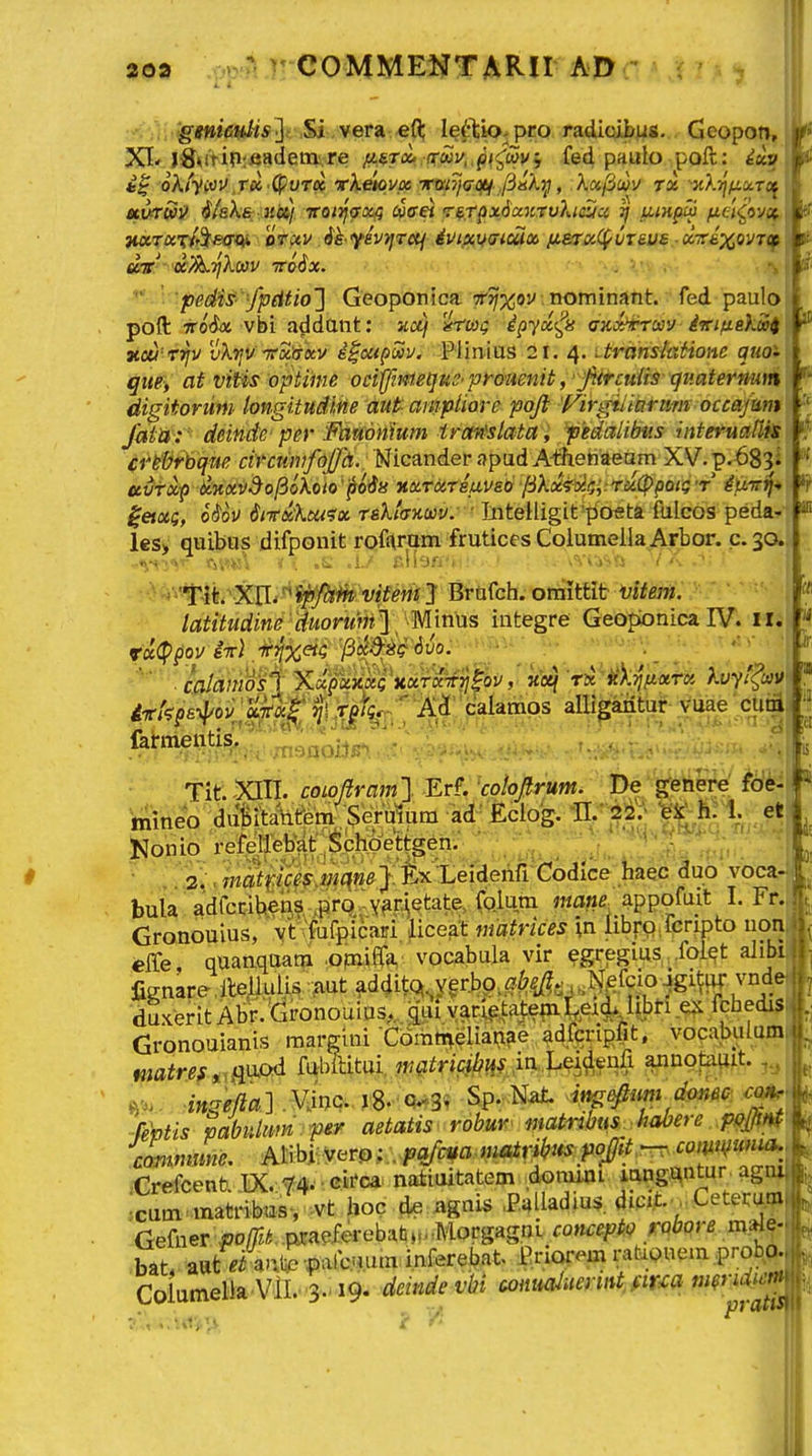ggnieHHs^i ,Si ,vera efl; Ie^l;k>-pr:o radioibus. Geopon, XI'J^OTinrfia<lem.re /A6T«. (r<ioj/,.^/^£ovj fed paulo poft; iu^ oA/Vwv.ra .CpoTa xketovK TCxxiij<jCf^'fiiiKT}, Aa/3a}y t« ■•}£X?//iaTflf Harw^-lr^^ff^ DTUV ^h-fhniTCli iUlfliUdluix /ieTOiCf^VTSUS CCTr&XOVTC^ '^, 'pedisi- •fpdtio'] Geopontca 7r^%oy nominant. fed paulo i poft *o<J« vbi addant; jjd^ ':^Twg ipyx<^s cKxhH-wv iviiiakwi r Tccii-rijv vXtjV '7eS,'&KV i^ou^m. Piin-tus 21. 4. UranstixHone quo- \ que, at vitis optiine oci^iniequc-promnit ^' fiirculis quatemum \ digitormi longituitMe aut- antpliore pojl Virgiliarmn occajum ■■' fatlif':'' deinde' per Fanonium trcntslata l ■pedalibus interuarm crkdrbque cinuivfojpi. Nicander apud AtfieHaeam XV.p.683' ' ctvfx^p ilHXV^^ofioXoto^pods nxrdiTmvso fikci^^ai^i^rciippoig■r ip.ir^^ ^ ^eixi;, 6$ov 6i7tx:kui'?x r&ktanm. ■ InteHigit-poeta fulcos peda-'P les> quibus difponit roftram fruticesColumella Arbor. c.30. ■ ->'%\^.''W'^ipfl0h vU^^^ Brafch. oraiteit ijitem. latitudine-duorurii^^^^-Mim^ integre Geoponica IV. II. tci<^pov iir) .^jc^i f A&ik^^vo. -^^ ^ ;■• _  ■*■ ■ . calanws^ XdfoimQ'xxrxTffl^^v,' i&^ rTK^it^:^}iix.h kvyifcav^  irkps^oilciTfK^ Til ^T^f^^-- A3' calamos alligantur vuae cuii '  tif. coioftramyEr?: koloprum. De/getiere fo hiineo ,duSik\ifrem Seru^ ad'ficlog. H.* 212.''' ^^ 6:1 ' etj . Nonib refellebjjt Sclwettge^ ■ , '':'^^^mat$C^fMC^e^.ix^ Codlce haec duo voca-:| bula 'adfct:iben? ,pro,-vfr\etate^ mm. appofuit I. Fr.,. Gronoulus, vt fufpicairi lice^t matrices \n Iibro. rcr^to non^i^ €ffe quaaquam ■om^^ vocabula vir egregius, .fol^t alibf fignarellejaulM-AUt^d4itQ,,y^ duxerit Abr. 'Gronouius,.. .aal y^r,i^taj:em Leid. iibn .ex fchedi$i. l Gronouianis raargini rdmtHeliawe a4fci:igfit, vocabulumi- ntatref^.a^od miital mtric^kHh^^^^^^ annotawit. ft'^. Mejia'} .Vinc. jg. 0-3* Sp. Nat if^efium donec cmr 'febtis mbulum . per aetatis robur matnbus. habere pQjJff^ J  ^ . A ,. .^^r^..r, 4„Mi^f ibit<^. *in(Jif:--r:C0mmunUl., commme. ' Ai\h^.^^w;:..pq/cHa.»i^r^us:P^ rrefcent DC. f4. -cifca^ natiuitatem donuni iting.antar agnil xura mattnbasV vt hoc d^ agnis .P.ulladius. dici.t , CeteW[ Gefner poffit. ,pj:aefa-ebab». ■ ^Morgagni c.oncept.o fCQbqre m^J-\ bat. auuAnirpafc.mun inferebat Priorem ratiouem,prob^p.j|f. ColumellaViI.'3.-i9. deindevbi (xinialuemtyfim meridien; ■