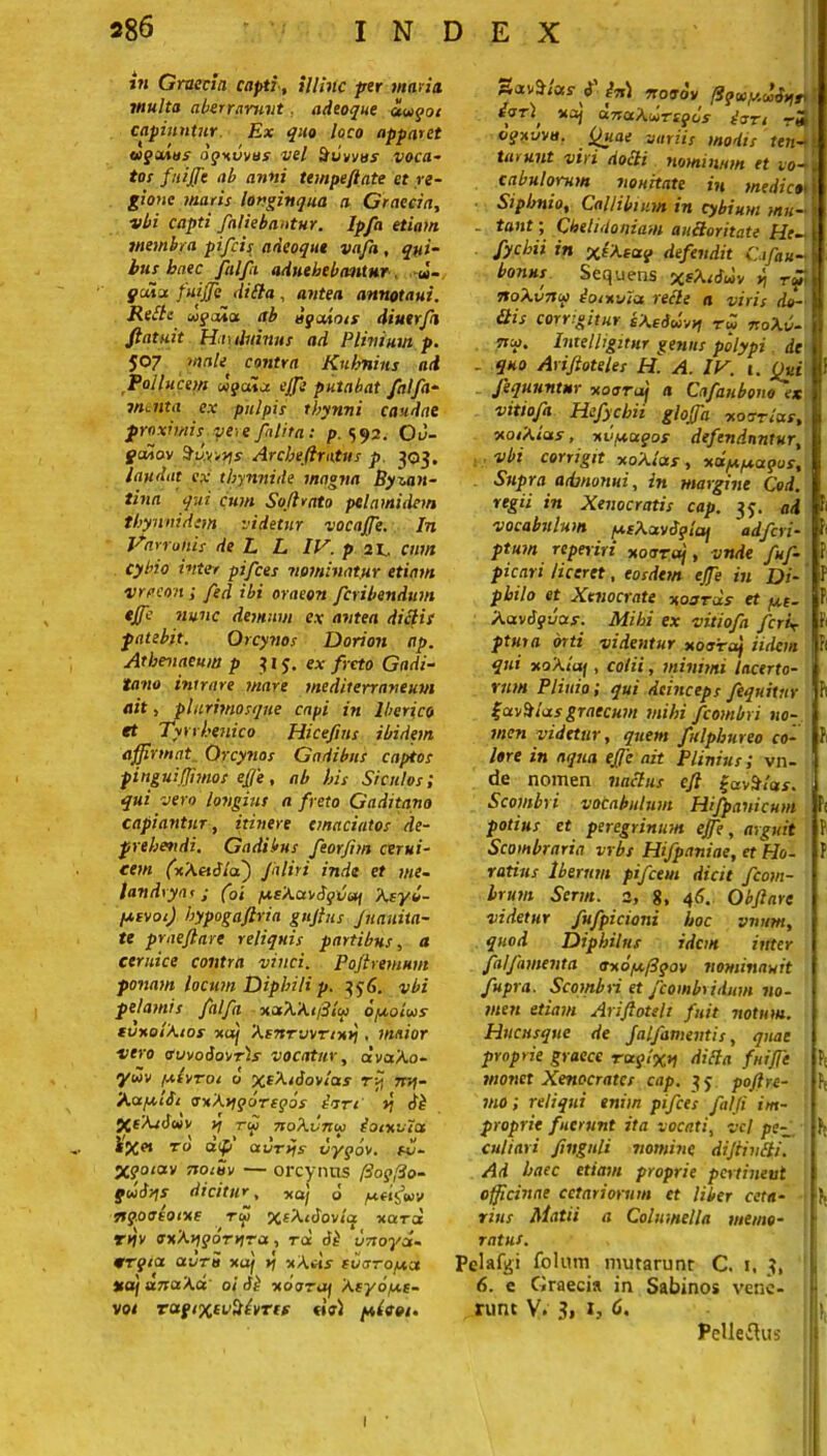 in Graecia capti, illinc per maria, viulta aberrarunt. adeoque uugoi capiuntur. Ex quo loco apparet ugxnus ogxvvus vel Suvuus voca- tor fnijfc ab anni tein pe flate et re- gione maris longinqua a Graecia, vbi capti fallebantur, lpfa etiam membra pifcis adeoque vafa , qui- bus haec falfa adnebebantur d- gdioc fuiffe diSta , antea annotaui. ReStc «fala ab agutosr diuerfi ftatuit Hauluinus ad Plinium p. 507 male contra Kuhnins ad Pollucem Mgoiia. effe putabat falfa- menta ex pulpis thynni caudae proximis ve-, e [alita: p. 592. Ou- gcdov Hvyrris Arcbeftratus p. 303. laudat ex tbynnide magna Byzan- tina qui cum Sojlrato pelamidem tbynnidetn videtur vocaffe. In Varronis de L L IV. p 21. cum cybio inter pifces nominatur etiam vraeon ; fed ibi oraeon fcribendum effe nunc demum ex antea dictis patebit. Orcynos Dorion np. Athenaeum p 315-. ex freto Gadi- tano intrare mare mediterraneum ait, plurimosque capi in lberico et Tyrrhenico Hicefins ibidem affirmat Orcynos Gadibus captos pinguiffimos effe, ab his Siculos; qui vero longius a freto Gaditano capiantur, itinere emaciatos de- prehendi. Gadibus feorjim cerui- cew fxAeuUof) Jaliri inde et me- landrya < ■ foi ysAardgviy Aeyb- yivoi) hypogafiria guftus Jnauita- te praeftare reliquis partibus, a ceruice contra vinci. Poftremum ponam locum Diphili p. 356. vbi pelamis falfa xxAAiiUlu oyoluis fvuo lAios *aj Xfwryvrixi\, maior vero auvoiorrls vocatur, dvaAo- ywv yiyrot 6 xrA‘dovlas ri[ nri- AaytSi axAygoregos ian »j dk %cAsdwy yj tm noAvniu loixvles Sf \ » _l * » v c * / „ to aip ctvryjs vygo\t, fu- X?oiav stoiuv — orcynns [iogfio- gud-zis dicitur, *aj 6 yeifav flg.ocrtoixe tu xeAidoria1 xard rtjv euXvigoTvira, ra vnoyd- osrgici av/ra xcq y/ «Ani* (utsroyct xdf U7sa'\u oi <Sk xooraj Atyoye- vot TUgiXtuStvrif «V) yidot. fVJtvSlcts <J' in\ noedv /igoiy.oodyff) ioT\' XXj CLTSOiAuTigOS ioTt Teb cqxwa. Quae variis modis ten- tarunt viri docti nominum et vo- cabulorum nouitate in tnedicot Siphnio, Callibium in cybium muA tant; Chelidoniam auctoritate He- fycbii in xeAeag defendit Cifau- bonus Sequeris xeAiiuv b\ tu, ifoAvnu loixvia recte a viris do- (tis corrigitur sAedoivn r» noAv- ssu, Intel!igitur genus polypi, de - quo Ariftoteles H. A. IV. 1. Qui Jequuntur xoaraj a Cafaubono ex vitiofa Hefychii gloffa xo&rlus, xoiAias, xvyugos defenduntur, : vbi corrigit xoAlas, xdy.ya.gos. Supra admonui, in margine Cod. regii in Xenocratis cap. 35. ad vocabulum ycAavdglaj adferi- ptum reperiri xooraj, vnde fuf- picari liceret, eosdem effe in Di- philo et Xenocrate xojrds et ye- Aavdguar. Mihi ex vitiofa fcrir ptura orti videntur xooto) Udem qui xoAlaf, cotii, minimi lacerto- rum Plinio; qui deinceps [equitur S-avSlas graecum mihi fcombri no- men videtur, quem fulphureo co- lore in aqua effe ait Plinius; vn- de nomen naclus cft {-avMas. Scombri vocabulum Hifpauicum potius et peregrinum effe, arguit Scombraria vrbs Hifpaniae, et Ho- ratius Iberttm pifcem dicit fcom- brum Serm. 2, 8, 46. Obftarc videtur fufpicioni hoc vnum, quod Diphilus idem inter falfamenta axoyfigov nominauit fupra. Scombri et fcombridum no- men etiam Ariftoteli fuit notum. Hucusque de Jalfamentis, quae proprie graece raglxn difta fuiffe monet Xenocrates cap. 35 poflre- mo; reliqui enim pifces falji im- proprie fuerunt ita vocati, vel pe-_ cuti ari fingnli nomine diffinfti. Ad haec etiam proprie pertineut officinae cetariorum et liber ceta- rius Matii a Columella memo- ratus. Pelafgi folum mutarunt C. 1, 3, 6. e Graecia in Sabinos vene- runt V. 3, 1, C. Pelleihis