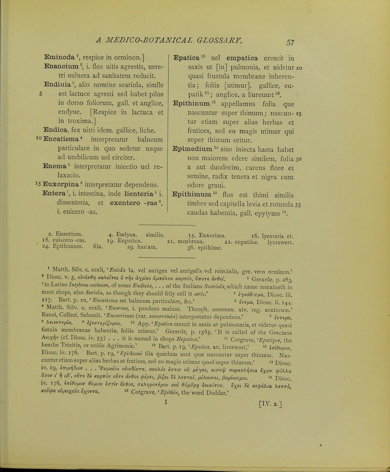 Eminoda ^ respice in orminon.] Enancium ^, i. flos uitis agrestis, uere- tri uulnera ad sanitatem reducit. Endiuia \ alio nomine scariola, simile 5 est lactuce agresti sed habet pilos in dorso foliorum, gall. et anglice, endyue. [Respice in lactuca et in troxima.] Endica, fex uitri idem. gallice, liche. o Encatisma * interpretatur balneum particulare in quo sedetur usque ad umbilicum uel ciixiter. Enema° interpretatur iniectio uel re- laxacio. 5 Euxorpina ^ interpretatui- dependens. Entera', i. intestina, inde lienteria^ i. dissenteria, et i. euicero -as. exentero -ras' Epatica^ uel empatiea crescit in saxis ut [in] pulmonia, et uidetur 20 quasi frustula membrane inheren- tia; foliis [utimur]. gallice, eu- patik ; anglice, a liureuurt ^^. Epithinum appellamus folia que nascuntur super thimum; nascun- 25 tur etiam super alias herbas et frutices, sed eo magis utimur qui super thimum oritur. Epimedium siue iniecta hasta habet non maiorem edere similem, folia 30 X aut duodecim, carens flore et semine, radix tenera et nigra cum odore graui. Epithimum flos est thimi similis timbre sed capitella levia et rotunda 35 caudas habentia. gali. epytyme 2. Enantium. 18. euiscero -l as. 24. Epithimum. fila. 4. Endyua. similis. 15. Euxorima. 16. lyenteria et. 19. Eupatica. 21. menbrana. 22. eupatike. lyurewert. 29. hastam. 36. epithime. * Matth. Silv. c. ccxli, ' Eniola la. vel aurigea vel aurigalis vel reiecialis, gre. vero orminon.' * Diosc. V. 5, olvavet] KaXetrai 6 Tzjs dypias anireKov KapnSs, oiroTe dveei.  Gerarde, p. 283, 'in Latine Intybim salivum, of some Endivia, . . , of the Italians ^car/o/a, which name remaineth in most shops, also Seriola, as though they should fitly call it sem.' * eyKde,iTfia, Diosc. iii. 117. Bart. p. 20, 'Encatisma est balneum particulare, &c.' ^ tvtna, Diosc. ii. 144.  Matth. Silv. c. ccxli, 'Enorma, i. pendens malum. Theoph. commen. xiv. reg. acutorum.' Renzi, Collect. Salernit. 'Encorrimas (var. encorrimia) interpretatur dependens.' ' 'ivTepa. » XatvTepia. » i(evTepLCo,xai. 1« App.'Epatica crescit in saxis ut pulmonaria, et videtur quasi fistula membranae habentia, foliis utimur.' Gerarde, p. 1565, 'It is called of the Grecians Attxv (cf. Diosc. iv. 53) . . . it is named in shops Hepatica.' » Cotgrave, 'Epatiqve, the hearbe Trinitie, or noble Agrimonie.'  Bart. p. 19, ' Epatica, an. liverwort.'  iiriQvpiov, Diosc. IV. 176. Bart. p, 19, ' Epithumi fila quasdam sunt quae nascuntur super thimum. Nas- cunturetiamsuper alias herbas et frutices, sed eo magis utimur quod super thimum.' Diosc. iv. 19, im/xTiSiov . . . 'PaifiaToi ovivSiKTa, KavUs ioTLV ov /xtyas, KLCraa, TrapaTrX-qaLa exojv (jivWa Saov i' ij i^', ovTt hl Kaptrbv ovTt avdos <pipei, ^iCat Si XtTTTal, pLiXatvai, hapvoa/iot. Diosc. iv. 176, eiriev^ov evnov iarlv dveos, aK\r,poTipov Kal eipL^pa loi/ciroy. «'xei 5^ lce^Kta. Kfmd, Kovfa oipaxovs exovra. « Cotgrave,' Epithin, the weed Dodder.' I [IV. 2.]