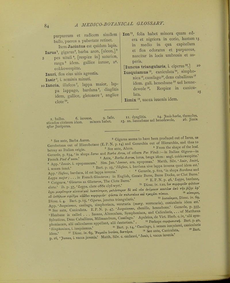 purpureum et radicem similem bullo, pueros a pubertate retinet. Item Jacintus est quidam lapis. larusS gigarus^ barba aron, [alcon,]^ 5 pes uituli^ [respice in] saturion, rasga'' idem. gallice iaruse, a®. cokkowespitte. lauri, flos eius uitis agrestis. lasiri. seminis minuti. lolancia, illafeos^ lappa maior, lap- pa lappago, bardana«, diaglitis idem, gallice, gletonereanglice clote^. lon, folia habet minora quam ed- era et nigriora in corio, hastam 15 in medio in qua capitellum et flos odoratus et purpureus, nascitur in locis umbrosis et as- peris. [luncus triangularis, i. ciperus.] 20 lusquiamuscaniculata, simpho- nica, cassilago'^ dens caballinusi^ idem. gall. henesbane^^ uel henne- dewole^^ Respice in canicu- lata. limix uacca iuuenis idem. 2. bulbo. 6. iarouse. 9- ^^■^'^' sticados citrinum idem. minora habet. afler Jimiperus. II. dyaglitis. 14. Jovisharha, \\itrao\v.5, 23. an. hennebane uel henedewole. 26. Jimix 1 See ante, Barba Aaron. ^ Gigarus seems to have been produced out of larus 03 Oerobotana out of Hierobotane ^-^-l^^---- ^ ^^^^^^Z:^^. tZZ^Z'^^ -^ and IZhTZ^. of ;thers Vi.U -in ItaUan ..^.-in ?.ench Pied ^eau^ « Ante, ' Barha Aaron, iarus. basga idem- angl cokkowesp.tt fTpp :lt.ropopanacum. Sim. j'an.'ara. opoponax.' Matth. Silv. • W W. i- ~ iunci.- ' Bart. p. 25,' W.o. i. ^^^^ TZ^^^ App.' Ilafeos, bardana, id est lappa mversa. Gerarde, p^bio, m s p ^ maior - . . in French Glonteron; in English, Greate Burre, Burre Docke, or Clot Burre. L,appa majur, . . . m ^iv. , t> ' 10 TT P N n /t6 'Latta, bardane, 3 Coterave ' Gleteron as Glattero7i, The Clote Burre. E. i . p. 40. ^^^PP >^ clote • ib p. 37, 'Lappa, clate ome clyf-wyrt.'  Diosc. iv. 120. 0. .op^.po.. ^vAXo. o5 ...^.o. a,6^,a ...5« .op,.pcO. ,..a. I. —. «a. ~ J^/ ^ •niosp i A Bart. p. I' C/Z-en/s, junctus tnangulans. voa«uu/x , y S,iva.ic.s, Dens Caba.linus, Miii»..d™n., Cass,b«o ^p. ..s de V, t He^^^ y pho.i.a.». aiii caiicn..,en, appeiia.,, a ., de. .na„^ J f^L.t-,...».. c^iCaHs ;::r';'s:r6, •p...., l.... c..ic...,,.. ■• p. 26, ' Ju«.„. i. vacc. j.venis.. M.l,b. Silv. c. ccclxxvi, • Imi,... v.cca ..ven.s.