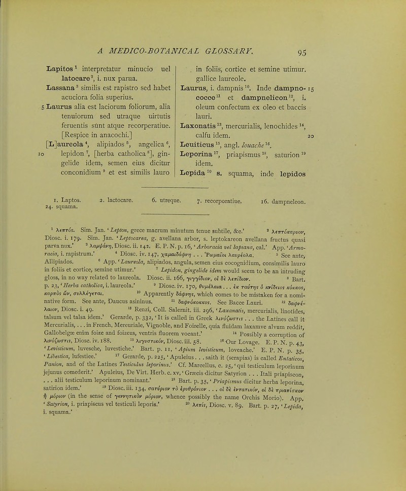 Iiapitos ^ interpretatur minucio uel latocare^ i. nux par.ua. Lassana ^ similis est rapistro sed habet acuciora folia superius. 5 Laitrus alia est laciorum foliorum, alia tenuiorum sed utraque uirtutis feruentis sunt atque recorperatiue. [Respice in anacochL] [L]aureola alipiados ®, angelica lo lepidon '^, [herba catholica ^], gin- gelide idem, semen eius dicitur conconidium ^ et est similis lauro . in foHis, cortice et semine utimur. gallice laureole. Laurus, i. dampnisInde dam.pno- eoece^^ et dampnelicon ^^, i. oleum confectum ex oleo et baccis lauri. Laxonatis ^^, mercm-ialis, lenochides calfu idem. Leuiticus angl. louache Leporina priapismus saturion  idem, Lepida^ s. squama, inde lepidos I. Laptos. 2. lactocare. 6. utreque. 7. recorporatiue. 16. dampneleon. 24. squama. ' XeirToy. Sim. Jan. ' Lepion, grece macrum minutum tenue subtile, &e.' = \(irr6mpvov, Diosc. i. 179. Sim. Jan. ' Leptocarea, g. avellana arbor, s. leptokareon avellana fructus quasi parva nux.' ' Kan^p&vq, Diosc. ii. 142. E. P. N. p. 16, ' Arboracia vel lapsana, cal.' App. 'Armo- racia, i. rapistrum.' * Diosc. iv. 147, xo-fMiSd<pvr] . . . 'Pajfiaioi XavpfoXa. = See ante, Allipiados. ^ App.' Laureola, alipiados, angula, semen eius cocognidium, consimilis lauro in foliis et cortice, semine utimur.' ' Lepidon, gitigelide idem would seem to be an intruding gloss, in no way related to laureola. Diosc. ii. 166, fiyyiSwv, oi \€wiSiov. » Bart. p. 23, 'Herba catholica, i.laureola.' « Diosc. iv. 170, evij.4\ata .. . e/c TavTi]s 6 KviSeios ic6kkos, Kapitbs wv, (ruAAe'76Toi. Apparently Sacpvqs, which comes to be mistaken for a nomi- native form. See ante, Daucus asininus.  Satpv^KOKKos. See Bacce Lauri. Safvi- \aiov, Diosc. i. 49. Renzi, CoU. Salemit. iii. 296, 'Laxanatis, mercurialis, liuotides, talsum vel talsa idem.' Gerarde, p. 332,' It is called in Greek Mv^^waTis . . . the Latines call it Mercurialis,... in French, Mercuriale, Vignoble, and Foirelle, quia fluidam laxamve alvum reddit, Gallobelg<s enim foize and foizeus, ventris fluorem voeant.'  Possibly a corruption of \iv6ZaiaTis, Diosc. iv. 188. \iyvaTiK6v, Diosc. iii. 58. Our Lovage. E. P. N. p. 43, ' Levisiiciim, luvesche, luvestiche.' Bart. p. 11, ' Apium levisticum, loveache. E. P. N. p. 35, ' Libestica, lufestiee.'  Gerarde, p. 225,' Apuleius. . . saith it (serapias) is called Entaticos, Panion, and of the Latines Testiculus leporinus.' Cf. Marcellus, c. 25,'qui testiculum leporinum jejunus comederit.' Apuleius, De Virt. Herb. c. xv,' Grsecis dicitur Satyrion . . . Itali priapiscon, . ,. alii testiculum leporinum nominant.'  Bart. p. 35,' Priapismus dicitur herba leporina', satirion idem.'  Diosc. iii. 134, aariipiov rb 'tpv9p6viov . . . oi S\ kvTaTuc6v, oi St TrpiawiaKov ij n6piov (in the sense of yfvvTjTiKbv ixopiov, whence possibly the name Orchis Morio). App. ' Satyrion, i. priapiseus vel testiculi leporis.' A.e7r(y, Diosc. v. 89. Bart. p. 27, ' Lepida' i. squama.'