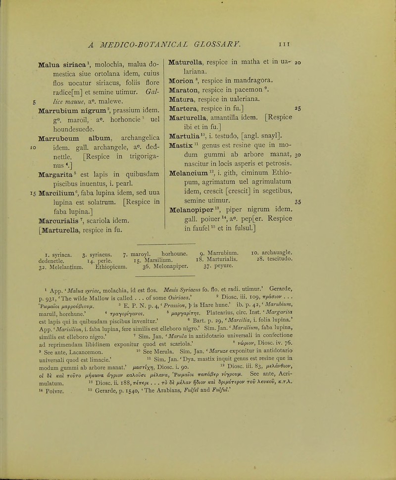 Malua siriaca^ molochia, malua do- mestica siue ortolana idem, cuius flos uocatur siriacus, foliis flore radice[m] et semine utimur. Gal- 6 lice 7)iauue, 2fi. malewe. Marrubium nigrum^ prassium idem. ge. maroil, a». horhoncie ^ uel houndesuede. Marrubeum album, archangelica idem. gall. archangele, a®. ded- nettle. [Respice in trigoriga- nus *.] Margarita^ est lapis in quibusdam piscibus inuentus, i. pearl. 15 Mareilium'', faba lupina idem, sed uua lupina est solatrum. [Respice in faba lupina.] Marcurialis '^, scariola idem. [Marturella, respice in fu. Maturella, respice in matha et in ua- 20 lariana. Morioii ^ respice in mandragora. Maraton, respice in pacemon Matura, respice in ualeriana. Martera, respice in fu.] 25 Marturella, amantilla idem. [Respice ibi et in fu.] Martulia, i. testudo, [angl. snayl]. Mastix genus est resine que in mo- dum gummi ab arbore manat, 30 nascitur in locis asperis et petrosis. Melaneium ^'^, i. gith, ciminum Ethio- pum, agrimatum uel agrimulatum idem, crescit [crescit] in segetibus, semine utimur. 35 Melanopiper piper nigrum idem. gall. poiuer a^. pep[er. Respice in faufel et in fulsul.] I. syriaca. 3. syriacns. 7. maroyl. horhoune. 9. Marrubium. 10. archaungle. dedenetle. 14. perle. 15. Marsilium. 18. Marturialis. 28. tescitudo. 32. Melelantimn. Ethiopicum. 36. Melonapiper. 37. peyure. » App. 'Mahia syriac, molachia, id est flos. Meuis Syriacus fo. flo. et radi. utimur.' Gerarde, p. 931, 'The wilde Mallow is called . . . of some Osiriaca:  Diosc. iii. 109, irpaaiov . . . 'FojnaToi nappo6l3Lovn. ^ E. P. N. p. 4,' Prassion, ]) is Hare hune.' ib. p. 42,' Marubium, maruil, horehune.' * rpayopiyavos. ^ napyaplrris. Platearius, circ. Inst. ' Margarita est lapis qui in quibusdam piscibus invenitur.' ° Bart. p. 29, ' Marcilia, i. folia lupina.' K^^.^Marisilion, i. faba lupina, fere similis est elleboro nigro.' Sim. Jan.' Marsiliwn, faba lupina, similis est elleboro nigro.' ' Sim. Jan. ' Marula in antidotario universali in confectione ad reprimendam libidinem exponitur quod est scariola.'  viipwv, Diosc. iv. 76. » See ante, Lacancemon.  See Merula. Sim. Jan. ' Maruze exponitur in antidotario universali quod est limacie.'  Sim, Jan.' Dya. mastix inquit genus est resine que in modum gummi ab arbore manat.' naarixv, Diosc. i. 90.  Diosc. iii. 83, ni\dv0iov, ol Kai Tovro nrjicoiva dypiov itaKovai jxiXava, 'VcxjpLaLoi iraTTa^tp viypov/x. See ante, Acri- mulatum.  Diosc. ii. i88,iri-irfpt . . . to Si p.kKav ^Sioi/ icai Spi/iurepoi/ toC XiVKOv, k.t.K.  Poivre.  Gerarde, p. 1540, 'The Arabians, Fulfel and FulfuV