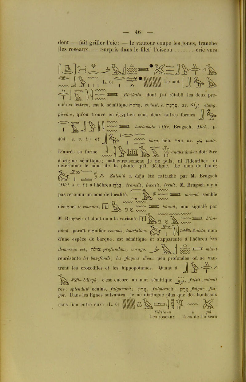 dent — fait griller l'oie: — le vautour coupe les Jones, tranelie [les roseaux. — iSurpris dans le filet] Toiseau crie vers <cp> •P^ U ww^j^Et [Bir]lcata, dont retabli les deux pre- I J u 1 /wwv\ mieres lettres, est le semitique ii3Q, et inst. e. nsna, ar. '»-^ji etany, piscine, qu'on trouve en egyptien sous deux autres forinea ^ ' ^ 1^ ^ ''^ harkahuta ( Cfr. Brugsch , Dict., p. 404, s. V. l. ] et /wwsA J /wwsA Yidh. ar. ^aJ nuih. D'apres sa forme \ || J^T^T anaus'imä-u doit etre d'origine semitique; malhenreusement je ne puis, ni l'identifier, ni deteiminer le iiom de la plante qu'il designe. Le nom du bourg ^ -A ZaU'h'ü a dejä ete rattaehe par M. Brugsch [Dict. s. V. l.) ä l'hebreu nb:^, transiit, invasit, irruit: M. Brugsch n'y a pas reconnu un nom de localite. ^\ /wwv^ i—t mesmii semble AA/WV\ '<1 ArtAAAA AWW\ designer le courant, fD V\ /wvw\ i—i hännü, non siguale par O (£ /WW-A A/VVW\ AAA/WV AAA/W\ M. Brugsch et dont on a la Variante HH^^^q ^ /wvwi=t /,',)»?- wiJy/<i, paralt signifier remmis, tourhillon. j |[| ^^^^^ Zaletii, uom d'une espece de barque, est semitique et s'apparento ä l'hebreu demersus est, nb>lS frofiDidum, vorm/o. ^Jp '^^^ jj '—■»- represente fcs has-fonds, les fluques d'van peu prot'ondes oü se vau- trent les crocodiles et les hippopotanies. Quant a J <:p> A hütrqii, c'est encore un niot semitique fulsit, vncuit res; s^ilntidtiit oculus, fiilgiiravit; pti2 , fulguraoit, p'y^ ßdgtir, ful- (for. Dans les lignes suivantes, je no distingue i)lus que des lanibeaux Sans lien entre eux : (L. 0, ||| ©^czsa (] ^ ^ (t'ä.t'a-K 11 ])ii Lea roseaux ä de l oiseau