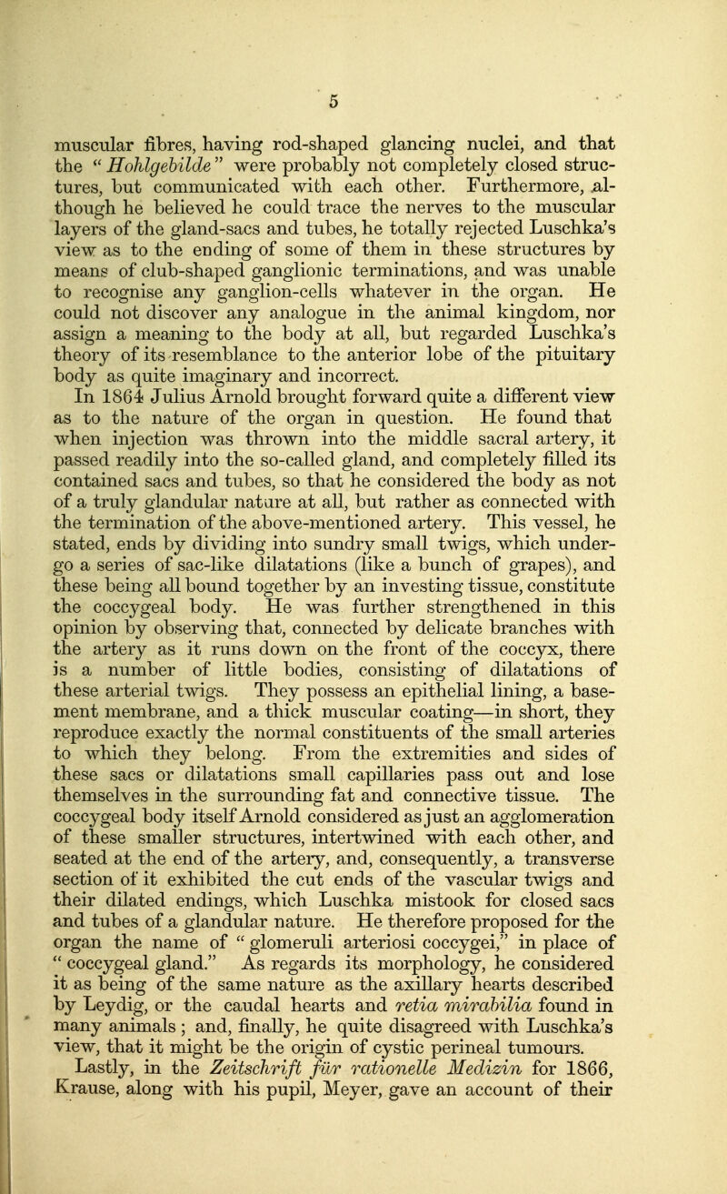 muscular fibres, having rod-shaped glancing nuclei, and that the Hohlgebilde  were probably not completely closed struc- tures, but communicated with each other. Furthermore, al- though he believed he could trace the nerves to the muscular layers of the gland-sacs and tubes, he totally rejected Luschka's view as to the ending of some of them in these structures by means of club-shaped ganglionic terminations, and was unable to recognise any ganglion-cells whatever in the organ. He could not discover any analogue in the animal kingdom, nor assign a meaning to the body at all, but regarded Luschka's theory of its resemblance to the anterior lobe of the pituitary body as quite imaginary and incorrect. In 1864 Julius Arnold brought forward quite a different view as to the nature of the organ in question. He found that when injection was thrown into the middle sacral artery, it passed readily into the so-called gland, and completely filled its contained sacs and tubes, so that he considered the body as not of a truly glandular natare at all, but rather as connected with the termination of the above-mentioned artery. This vessel, he stated, ends by dividing into sundry small twigs, which under- go a series of sac-like dilatations (like a bunch of grapes), and these being all bound together by an investing tissue, constitute the coccygeal body. He was further strengthened in this opinion by observing that, connected by delicate branches with the artery as it runs down on the front of the coccyx, there is a number of little bodies, consisting of dilatations of these arterial twigs. They possess an epithelial lining, a base- ment membrane, and a thick muscular coating—in short, they reproduce exactly the normal constituents of the small arteries to which they belong. From the extremities and sides of these sacs or dilatations small capillaries pass out and lose themselves in the surrounding fat and connective tissue. The coccygeal body itself Arnold considered as just an agglomeration of these smaller structures, intertwined with each other, and seated at the end of the artery, and, consequently, a transverse section of it exhibited the cut ends of the vascular twigs and their dilated endings, which Luschka mistook for closed sacs and tubes of a glandular nature. He therefore proposed for the organ the name of  glomeruli arteriosi coccygei, in place of  coccygeal gland. As regards its morphology, he considered it as being of the same nature as the axillary hearts described by Leydig, or the caudal hearts and retia mirahilia found in many animals ; and, finally, he quite disagreed with Luschka's view, that it might be the origin of cystic perineal tumours. Lastly, in the Zeitschrift fur rationelle Medizin for 1866, Krause, along with his pupil, Meyer, gave an account of their