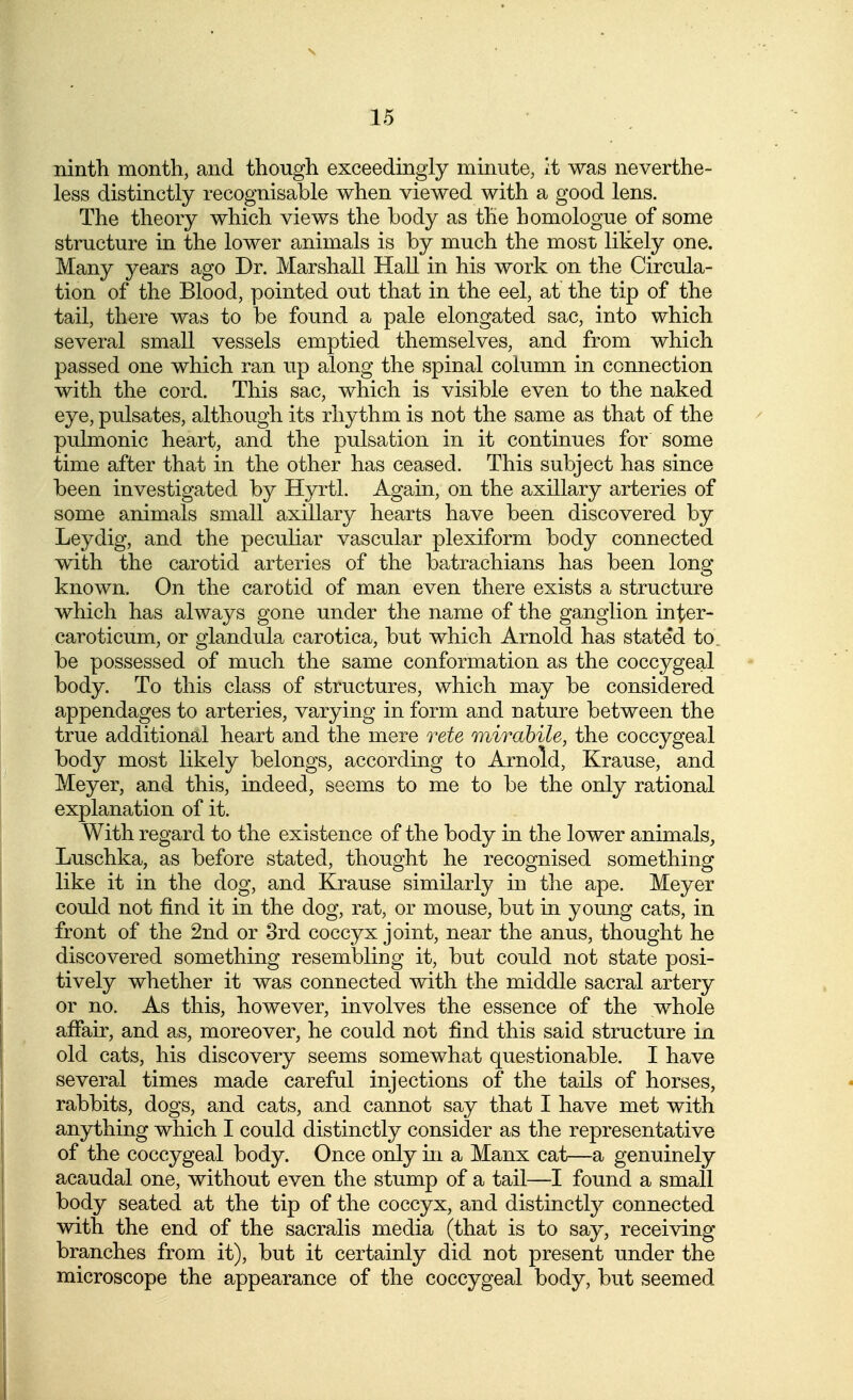 ninth month, and though exceedingly minute, it was neverthe- less distinctly recognisable when viewed with a good lens. The theory which views the body as the homologue of some structure m the lower animals is by much the most liliely one. Many years ago Dr. Marshall Hall in his work on the Circula- tion of the Blood, pointed out that in the eel, at the tip of the tail, there was to be found a pale elongated sac, into which several small vessels emptied themselves, and from which passed one which ran up along the spinal column in connection with the cord. This sac, which is visible even to the naked eye, pulsates, although its rhythm is not the same as that of the pulmonic heart, and the pulsation in it continues for some time after that in the other has ceased. This subject has since been investigated by Hyrtl. Again, on the axillary arteries of some animals small axillary hearts have been discovered by Leydig, and the peculiar vascular plexiform body connected with the carotid arteries of the batrachians has been long known. On the carotid of man even there exists a structure which has always gone under the name of the ganglion inter- caroticum, or glandula carotica, but which Arnold has stated to be possessed of much the same conformation as the coccygeal body. To this class of structures, which may be considered appendages to arteries, varying in form and nature between the true additional heart and the mere rete mirahile, the coccygeal body most likely belongs, according to Arnold, Krause, and Meyer, and this, indeed, seems to me to be the only rational explanation of it. With regard to the existence of the body in the lower animals, Luschka, as before stated, thought he recognised something like it in the dog, and Krause similarly in the ape. Meyer could not find it in the dog, rat, or mouse, but in young cats, in front of the 2nd or 3rd coccyx joint, near the anus, thought he discovered something resembling it, but could not state posi- tively whether it was connected with the middle sacral artery or no. As this, however, involves the essence of the whole affair, and as, moreover, he could not find this said structure in old cats, his discovery seems somewhat questionable. I have several times made careful injections of the tails of horses, rabbits, dogs, and cats, and cannot say that I have met with anything which I could distinctly consider as the representative of the coccygeal body. Once only hi a Manx cat—a genuinely acaudal one, without even the stump of a tail—I found a small body seated at the tip of the coccyx, and distinctly connected with the end of the sacralis media (that is to say, receiving branches from it), but it certainly did not present under the microscope the appearance of the coccygeal body, but seemed