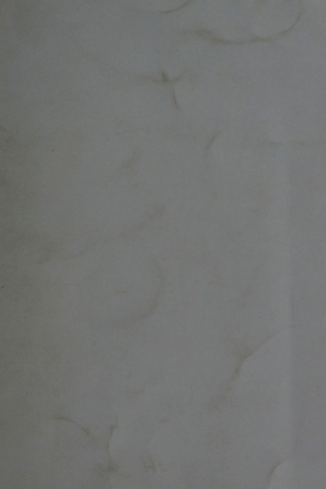 digitised image 1