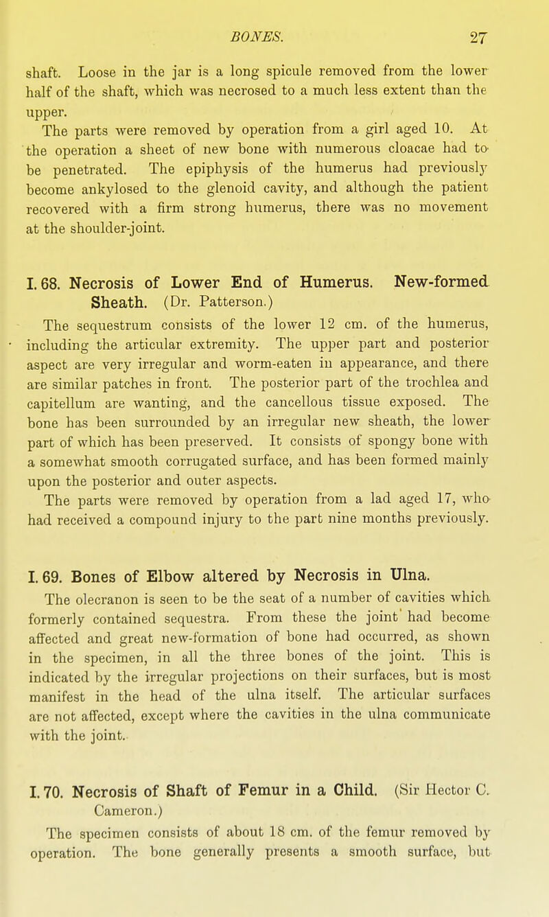 shaft. Loose in the jar is a long spicule removed from the lower half of the shaft, which was necrosed to a much less extent than the upper. The parts were removed by operation from a girl aged 10. At the operation a sheet of new bone with numerous cloacae had to- be penetrated. The epiphysis of the humerus had previously become ankylosed to the glenoid cavity, and although the patient recovered with a firm strong humerus, there was no movement at the shoulder-joint. 1.68. Necrosis of Lower End of Humerus. New-formed Sheath. (Dr. Patterson.) The sequestrum consists of the lower 12 cm. of the humerus, including the articular extremity. The upper part and posterior aspect are very irregular and worm-eaten in appearance, and there are similar patches in front. The posterior part of the trochlea and capitellum are wanting, and the cancellous tissue exposed. The bone has been surrounded by an irregular new sheath, the lower part of which has been preserved. It consists of spongy bone with a somewhat smooth corrugated surface, and has been formed mainly upon the posterior and outer aspects. The parts were removed by operation from a lad aged 17, who- had received a compound injury to the part nine months previously. 1.69. Bones of Elbow altered by Necrosis in Ulna. The olecranon is seen to be the seat of a number of cavities which formerly contained sequestra. From these the joint' had become affected and great new-formation of bone had occurred, as shown in the specimen, in all the three bones of the joint. This is indicated by the irregular projections on their surfaces, but is most manifest in the head of the ulna itself. The articular surfaces are not affected, except where the cavities in the ulna communicate with the joint. 1.70. Necrosis of Shaft of Femur in a Child. (Sir Hector C. Cameron.) The specimen consists of about 18 cm. of the femur removed by operation. The bone generally presents a smooth surface, but