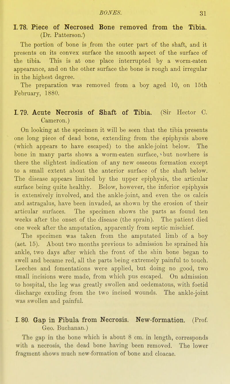 1.78. Piece of Necrosed Bone removed from the Tibia. (Dr. Patterson.') The portion of bone is from the outer part of the shaft, and it presents on its convex surface the smooth aspect of the surface of the tibia. This is at one place interrupted by a worm-eaten appearance, and on the other surface the bone is rough and irregular in the highest degree. The preparation was removed from a boy aged 10, on 15th February, 1880. 1.79. Acute Necrosis of Shaft of Tibia. (Sir Hector C. Cameron.) On looking at the specimen it will be seen that the tibia presents one long piece of dead bone, extending from the epiphysis above (which appears to have escaped) to the ankle-joint below. The bone in many parts shows a worm-eaten surface,»but nowhere is there the slightest indication of any new osseous formation except to a small extent about the anterior surface of the shaft below. The disease appears limited by the upper epiphysis, the articular surface being quite healthy. Below, however, the inferior epiphysis is extensively involved, and the ankle-joint, and even the os calcis and astragalus, have been invaded, as shown by the erosion of their articular surfaces. The specimen shows the parts as found ten weeks after the onset of the disease (the sprain). The patient died one week after the amputation, apparently from septic mischief. The specimen was taken from the amputated limb of a boy (aet. 15). About two months previous to admission he sprained his ankle, two days after which the front of the shin bone began to swell and became red, all the parts being extremely painful to touch. Leeches and fomentations were applied, but doing no good, two small incisions were made, from which pus escaped. On admission to hospital, the leg was greatly swollen and oedematous, with foetid discharge exuding from the two incised wounds. The ankle-joint was swollen and painful. 1.80. Gap in Fibula from Necrosis. New-formation. (Prof. Geo. Buchanan.) The gap in the bone which is about 8 cm. in length, corresponds with a necrosis, the dead bone having been removed. The lower fragment shows much new-formation of bone and cloacae.