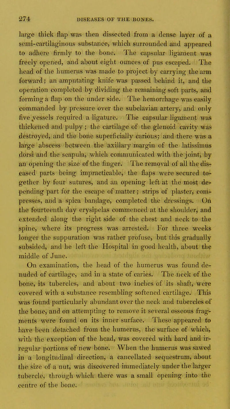 large thick flap was then dissected from a dense layer of a semi-cartilaginous substance, which surrounded and appeared to adhere firmly to the bone. The capsular ligament was freely opened, and about eight ounces of pus escaped. The head of the humerus was made to project by carrying the arm forward; an amputating knife was passed behind it, and the operation completed by dividing the remaining soft parts, and forming a flap on the under side. The hemorrhage was easily commanded by pressure over the subclavian artery, and only five ^vessels required a ligature. The capsular ligament was thickened and pulpy ; the cartilage of the glenoid cavity was destroyed, and the bone superficially carious; and there was a large abscess between the axillary margin of the latissimus dorsi and the scapula, which communicated with the joint, by an opening the size of the finger. The removal of all the dis- eased parts being impracticable, the flaps were secured to- gether by four sutures, and an opening left at the most de- pending part for the escape of matter; strips of plaster, com- presses, and a spica bandage, completed the dressings. On the foiu'teenth day erysipelas commenced at the shoidder, and extended along the right side of the chest and neck to the Spine, where its progress was arrested. For three weeks longer the suppuration was rather profuse, but this gradually subsided, and he left the Hospital in good health, about the middle of June. On examination, the head of the humerus was found de- nuded of cartilage, and in a state of caries. The neck of the bone, its tubercles, and about two inches of its shaft, were covered Math a substance resembling softened cartilage. This was foimd particularly abundant over the neck and tubercles of the bone, and on attempting to remove it several osseous frag- ments were found on its inner surface. These appeared to have been detached from the humerus, the surface of which, with the exception of the head, was covered with hard and ir- regular portions of new bone. When the humerus was sawed in a longitudinal direction, a cancellated sequestrum, about the size of a nut, was discovered immediately under the larger tubercle, through whicli there was a small opciiing into the centre of the bone.