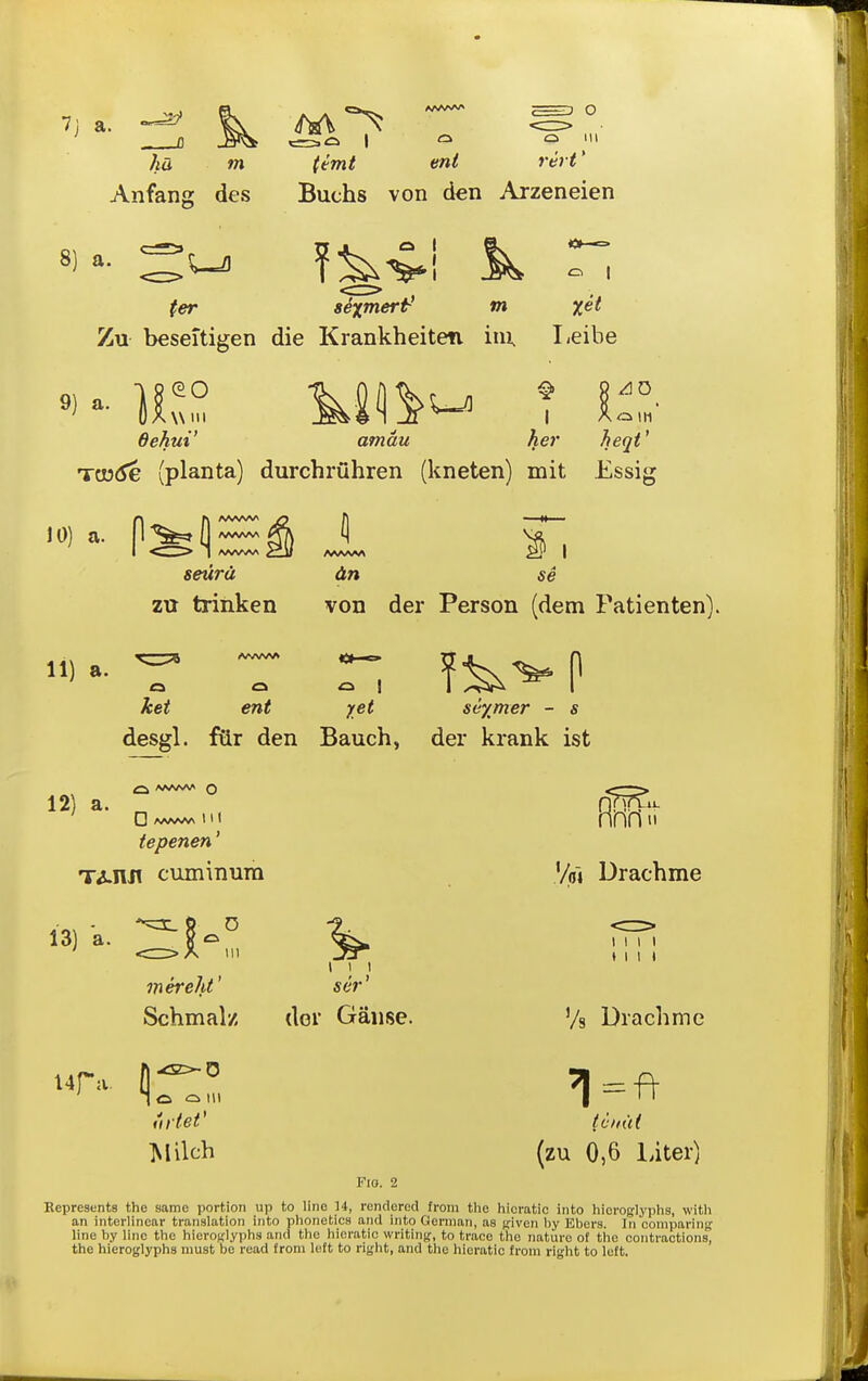 7j a. ha m Anfang des ttmt ent Buchs von den Arzeneien o in rtrt * 8) a I I ter sexmert-' m Zu beseitigen die Krankheiten in\ Leibe 9) a. ]l Q.0 \\ Ml dehui' TosiJe (planta) durchruhren (kneten) mit Essig amau JO) a. 11) a. ZU trinken 1^ 5e desgl. ftir den Bauch, von der Person (dem Patienten). seymer - s der krank ist ^ ! yet 12) a. □ /«AAVW 1 I ( tepenen' T^nn cuminura hriii Vol Drachma 13) a. 111 mereht' Schmalz ser' dor Ganse. 11 I I MM Vs Drachmc o HI Milch Fio. 2 (zu 0,6 liter) portion up to line 14, rendered from the liieratic into liioroglyphs, with nslation into phonetics and into German, as ffiven by Ebers. In comparing Represents the same an interlinear translation ■ ^ „ o line by line the hierojjlyphs and' the hieratic writinjf, to trace the nature of the contraction^ the hieroglyphs must be read from left to right, and the hieratic from ri-ht to left.